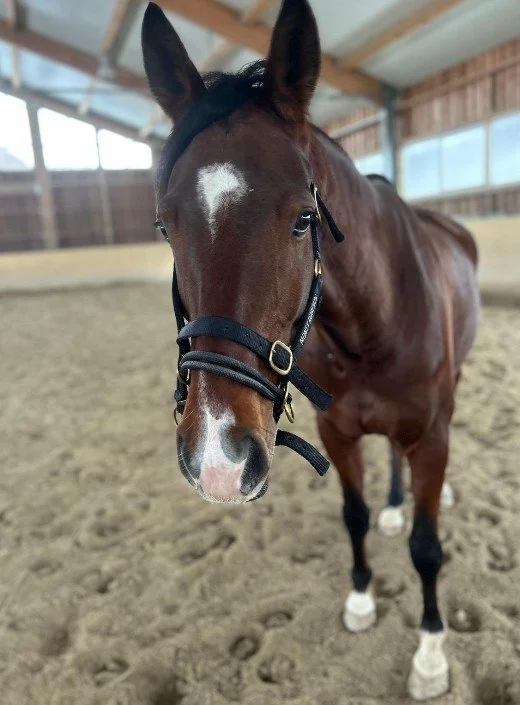 Screenshot 2026-01-22 093915.jpg