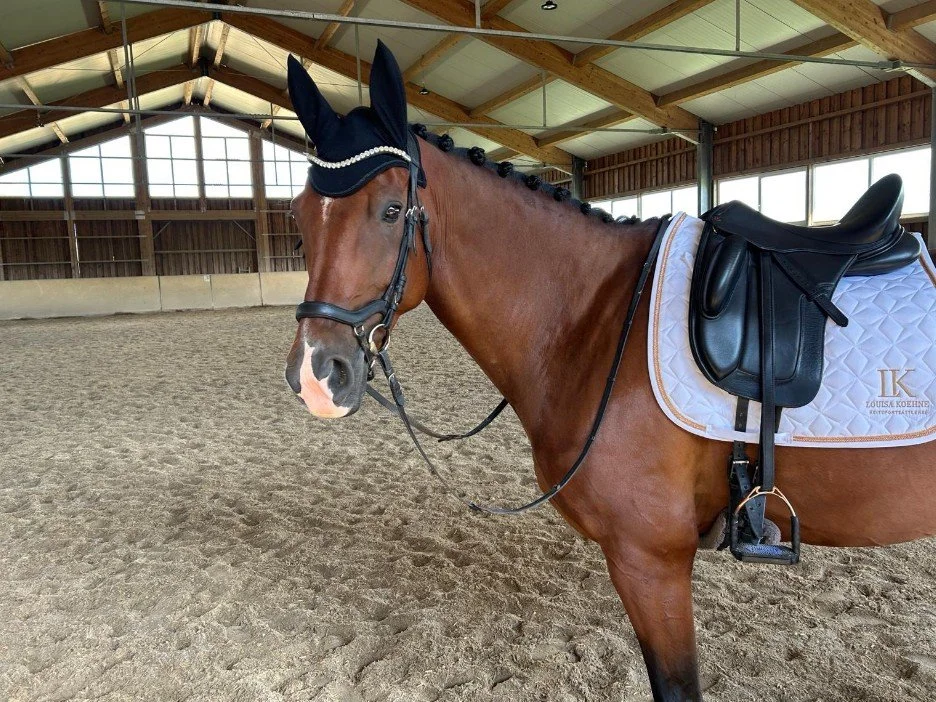 Flintstone - VERMITTLUNGSHILFE