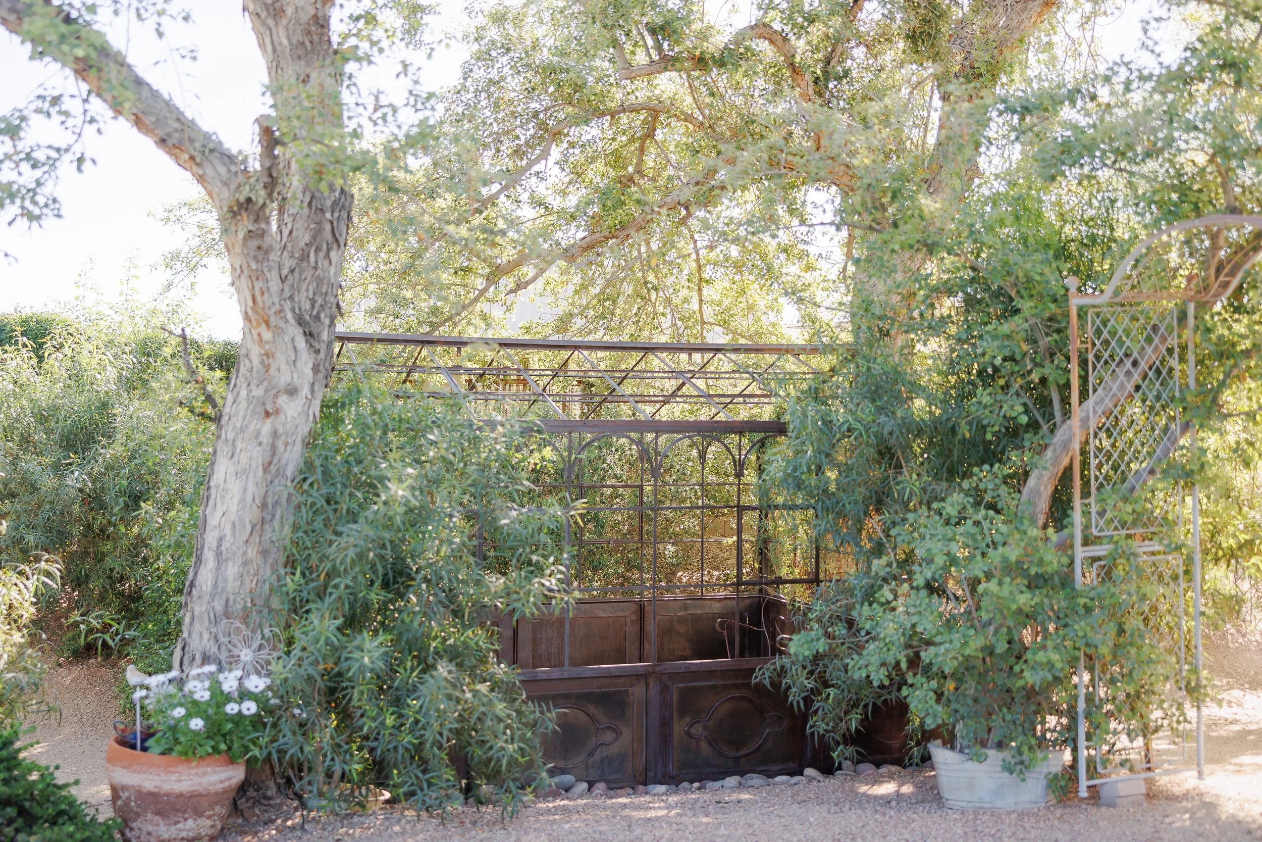 meander-gatherings-greenhouse-8.jpg