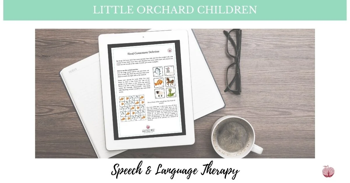 Final Consonant Deletion Digital Download