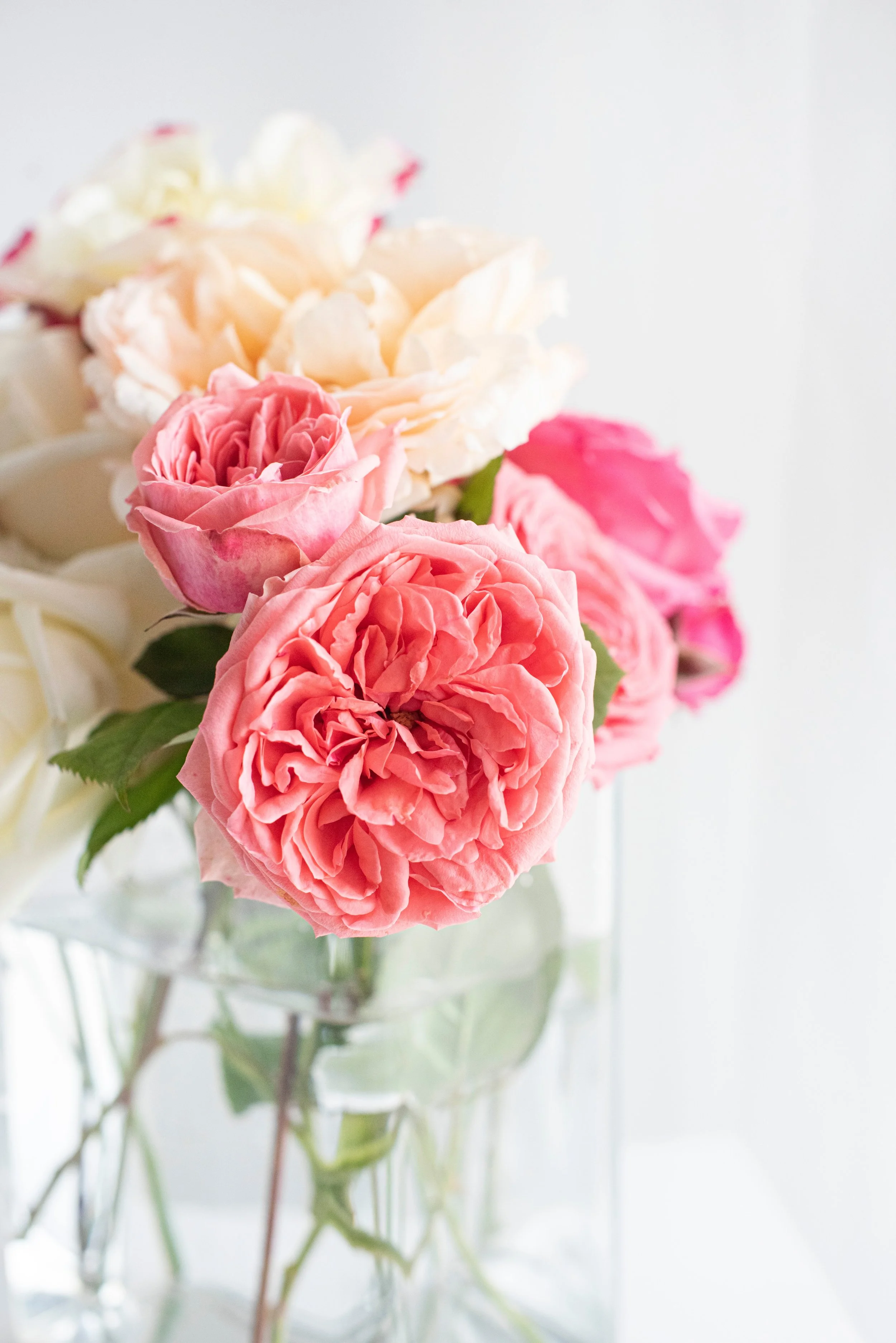 Bloom App