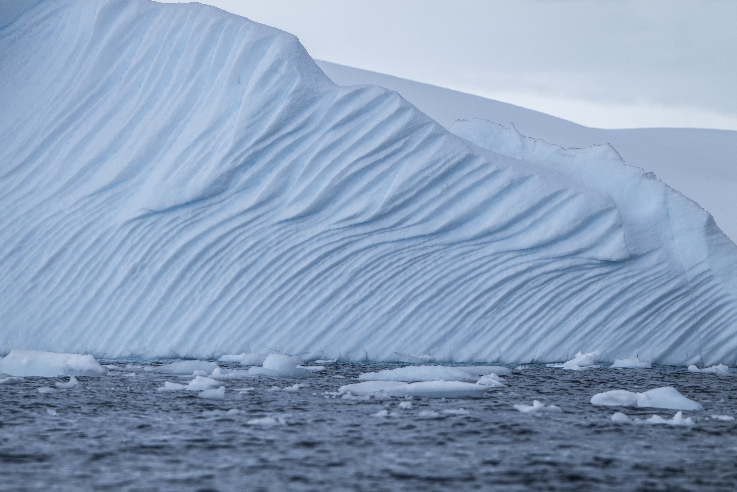 Joseph Seif - Antarctica -1040438.jpg