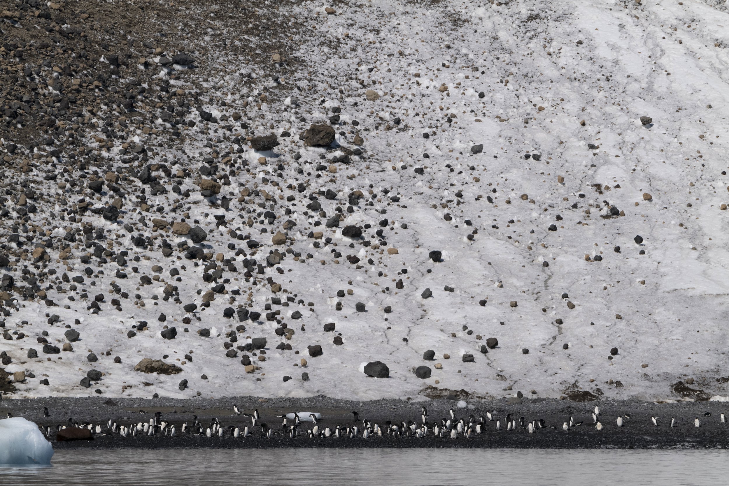 Joseph Seif - Antarctica -1020511.jpg