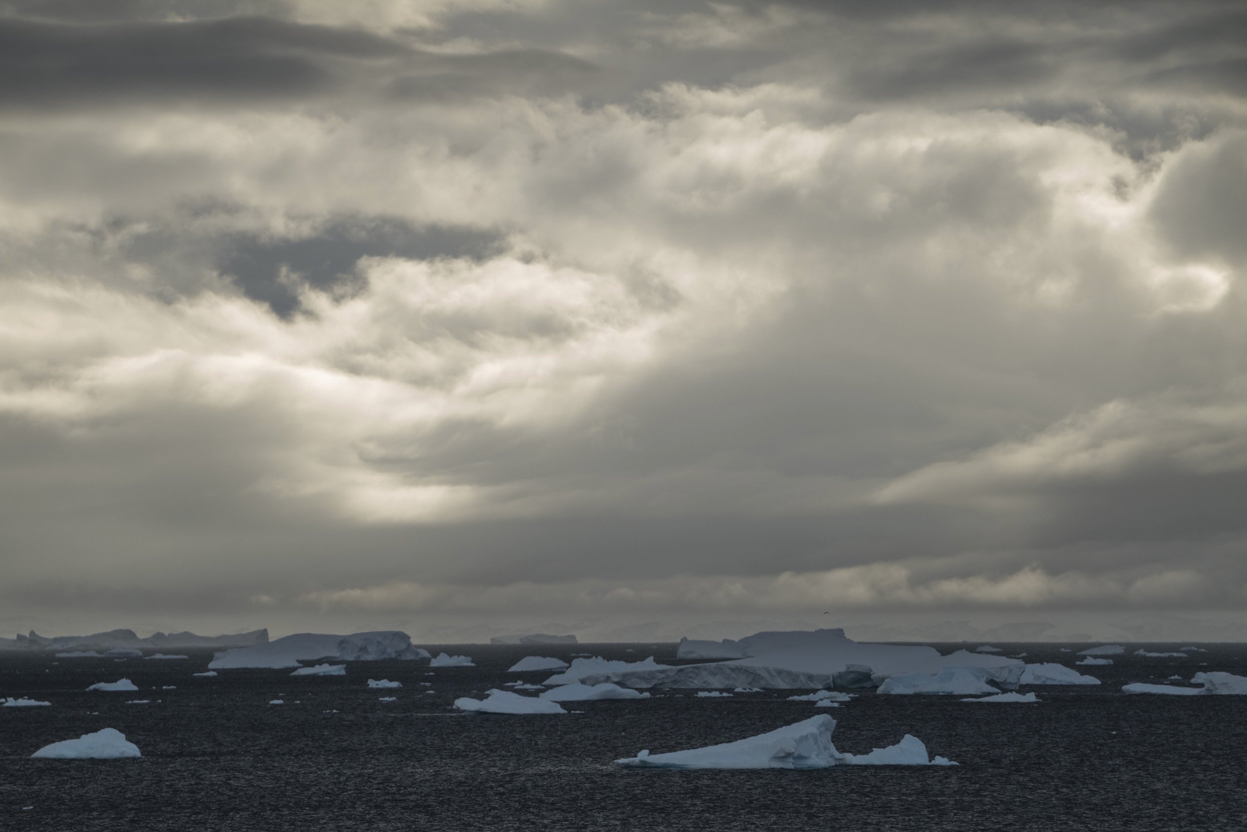 Joseph Seif - Antarctica -1050623.jpg