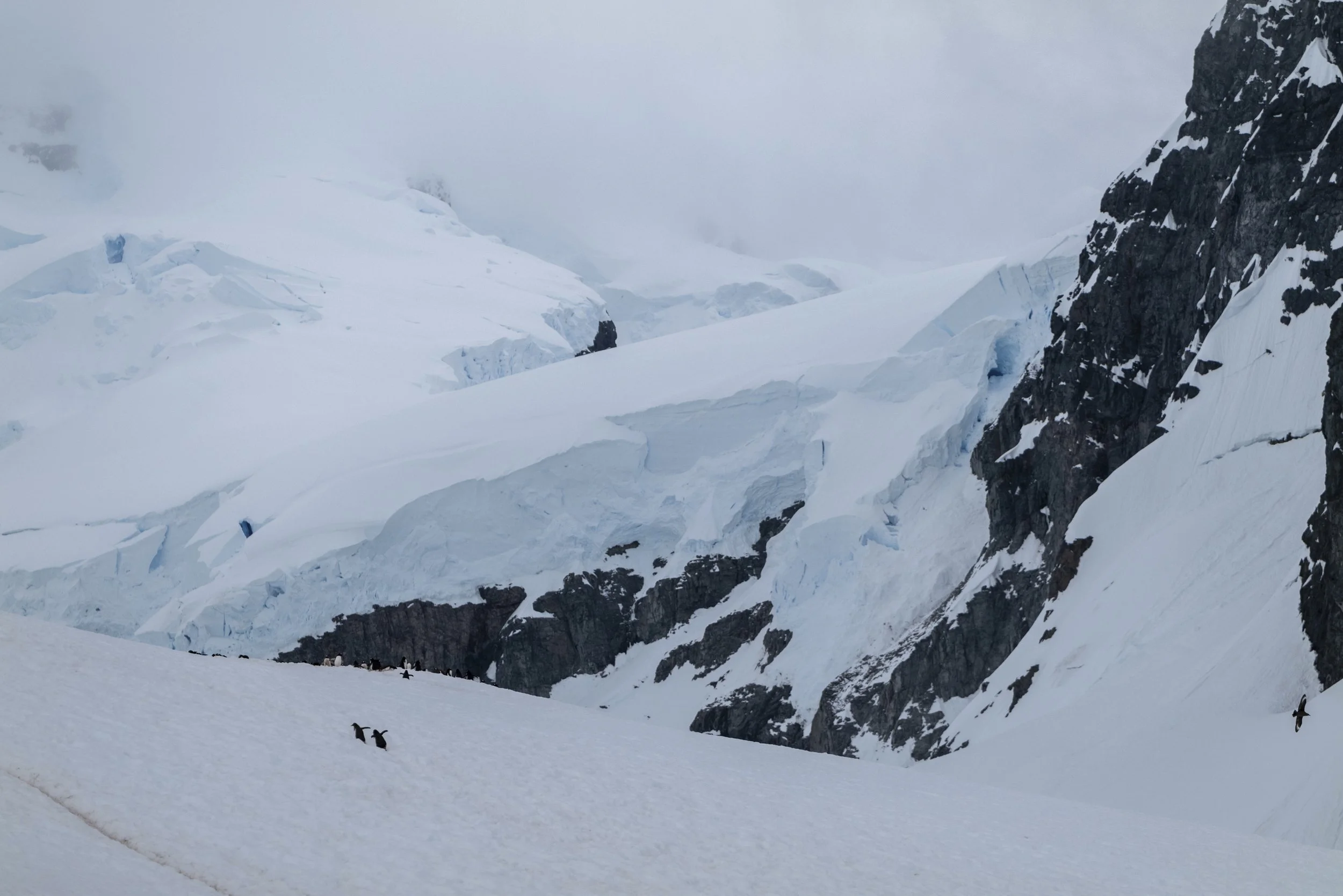 Joseph Seif - Antarctica -1050466.jpg
