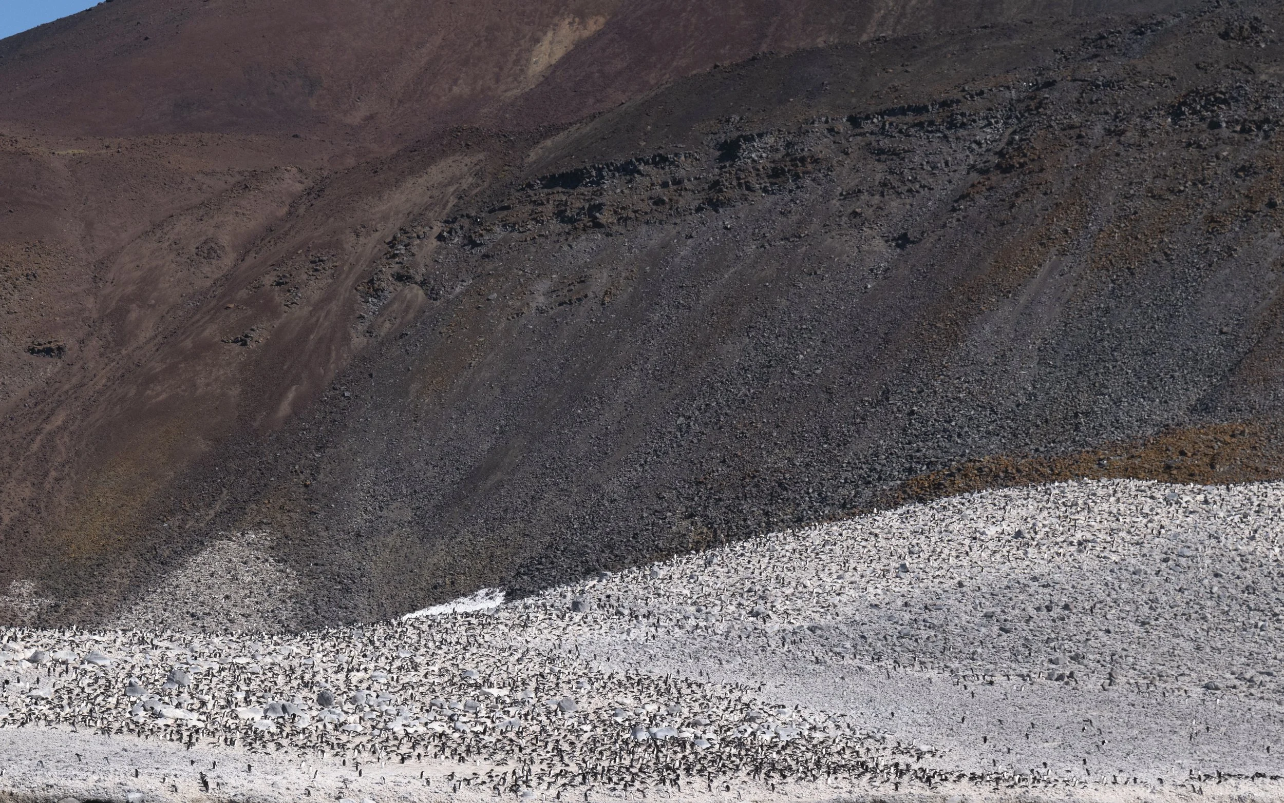 Joseph Seif - Antarctica -1020690.jpg