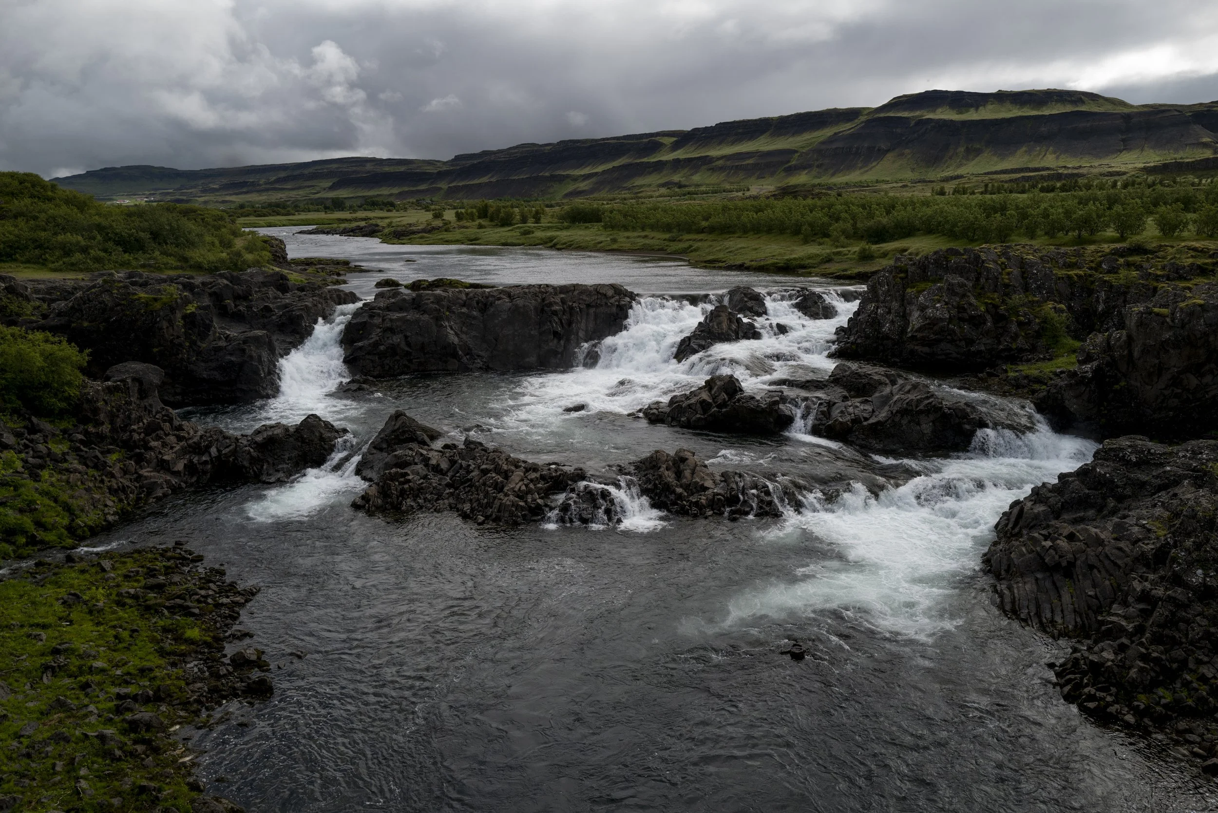 L1090800.jpg