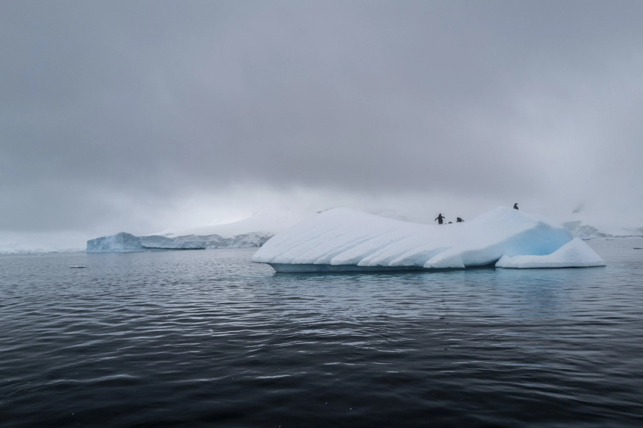 Joseph Seif - Antarctica -1002226.jpg