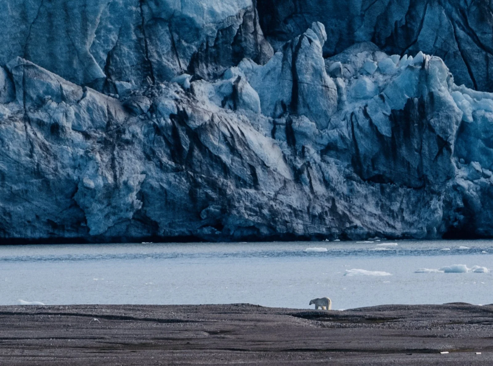 Screen Shot 2024-08-23 at 2.44.00 PM 2.jpg