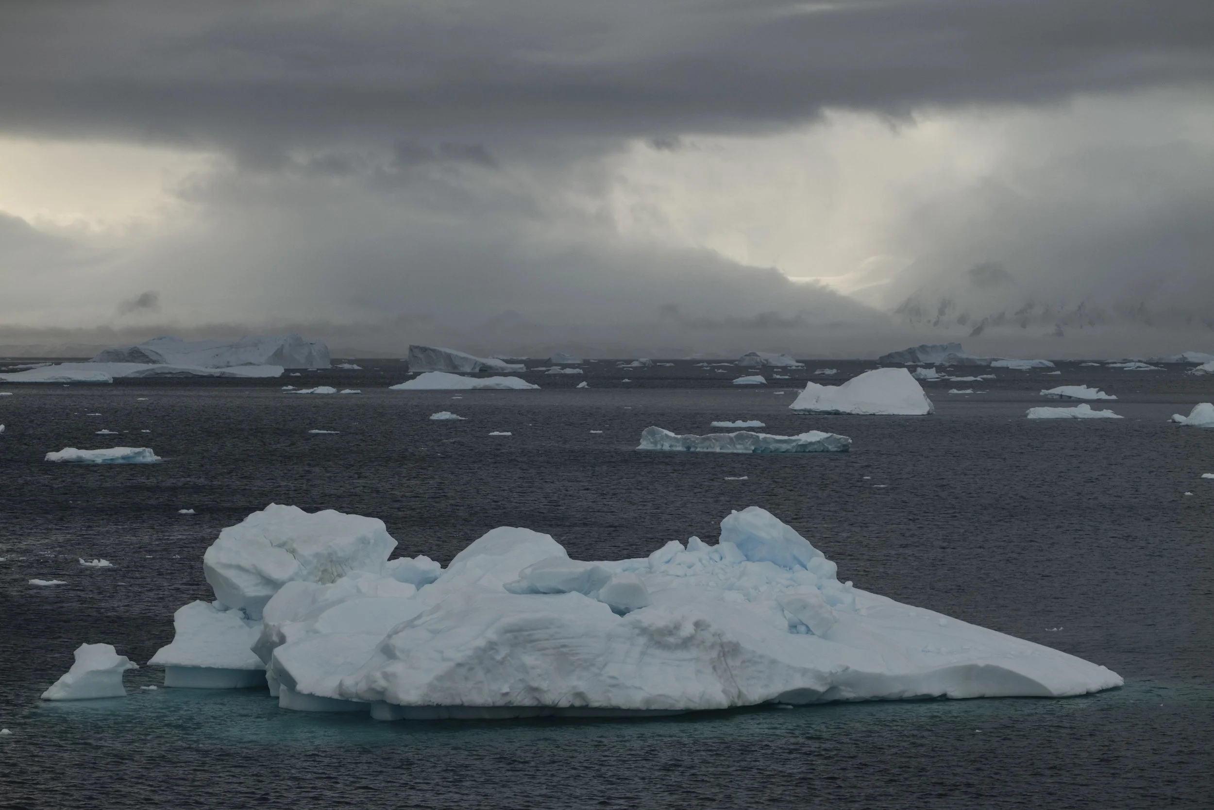 Joseph Seif - Antarctica -1050611.jpg