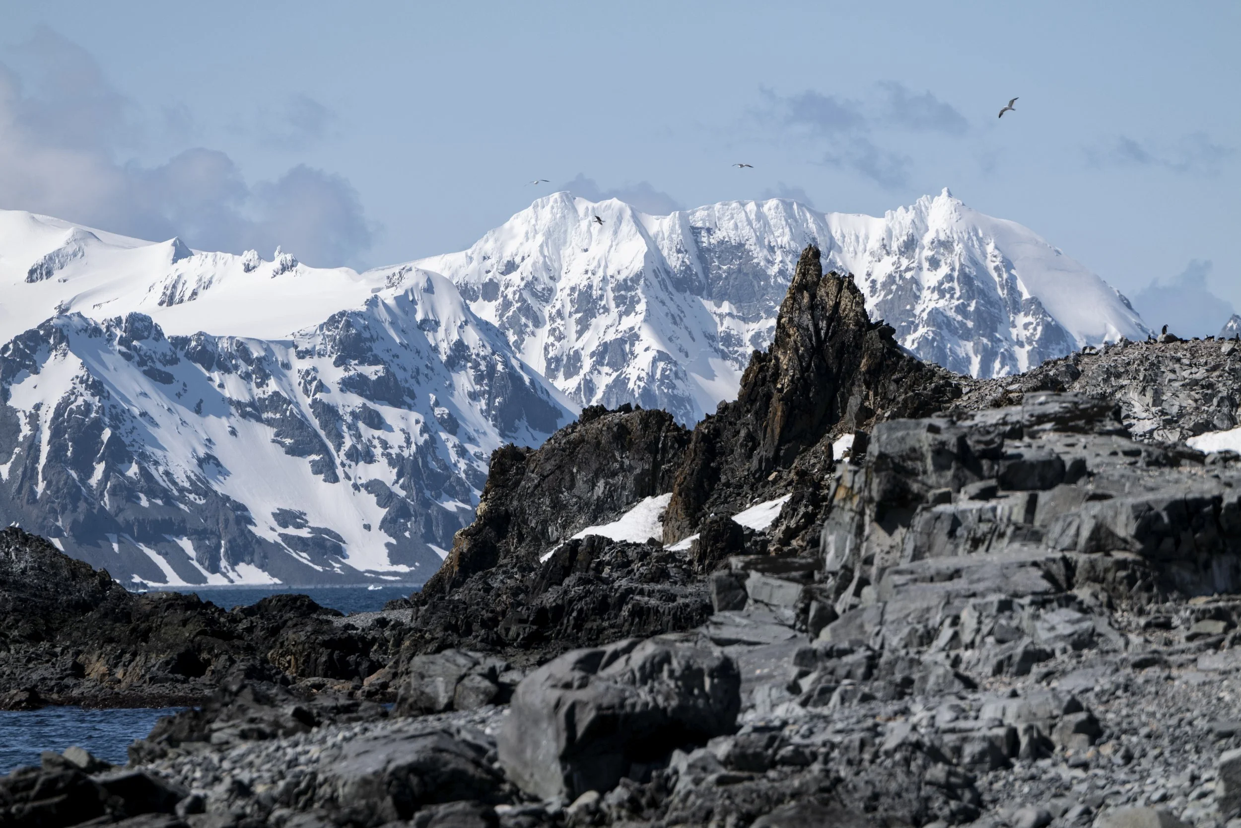 Joseph Seif - Antarctica -1010010.jpg