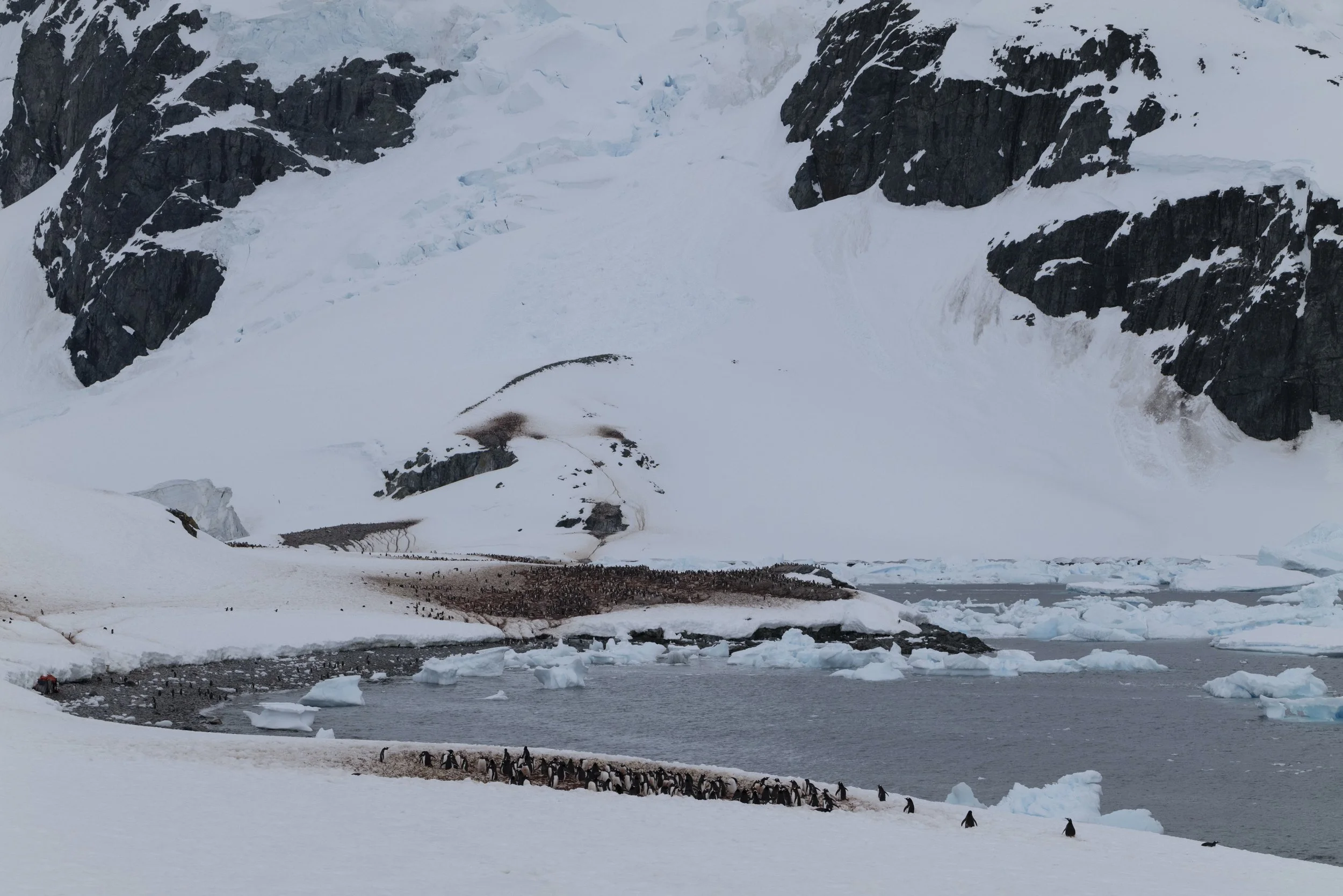 Joseph Seif - Antarctica -1050373.jpg