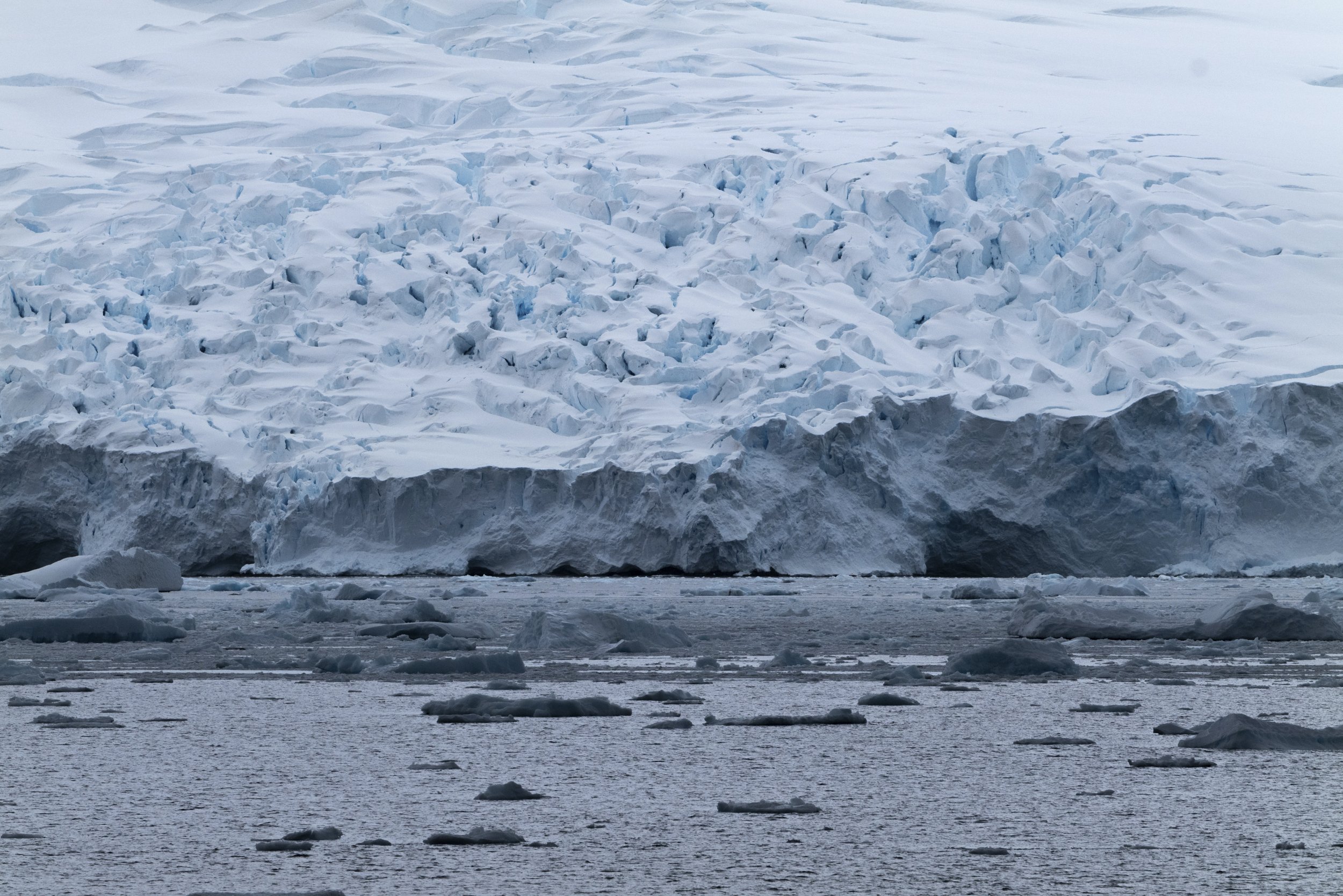 Joseph Seif - Antarctica -1040585.jpg