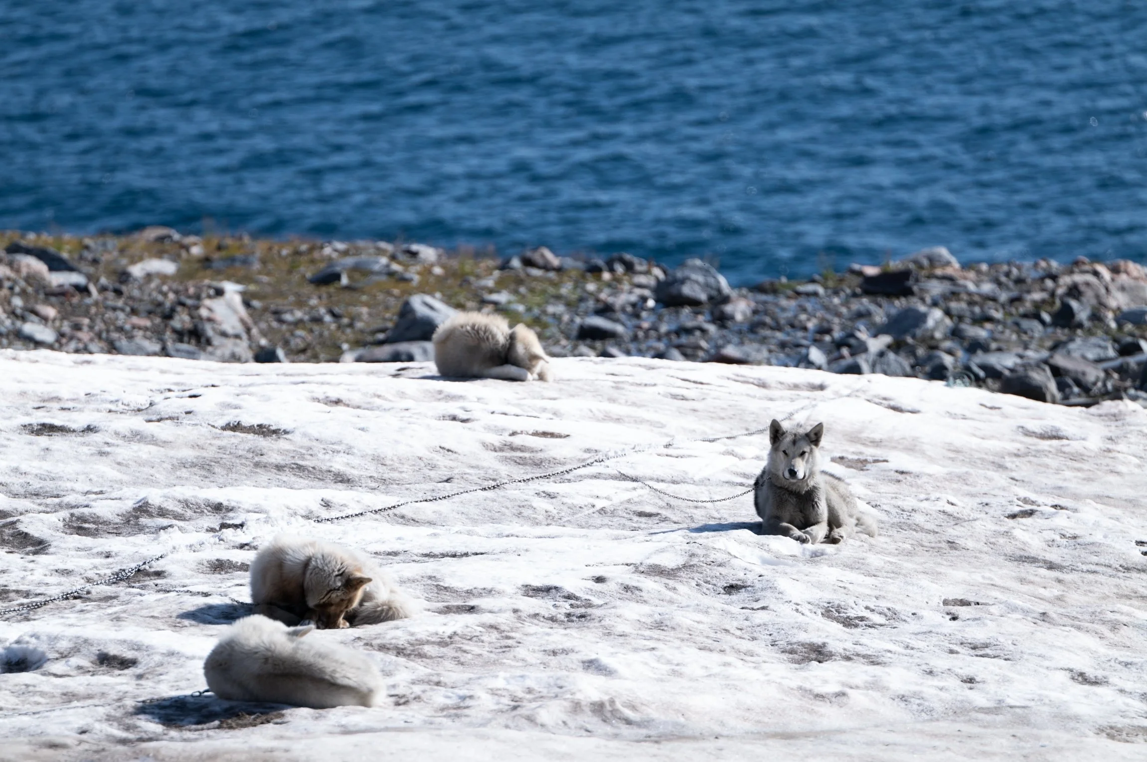 Screen Shot 2024-08-29 at 10.25.37 PM.jpg