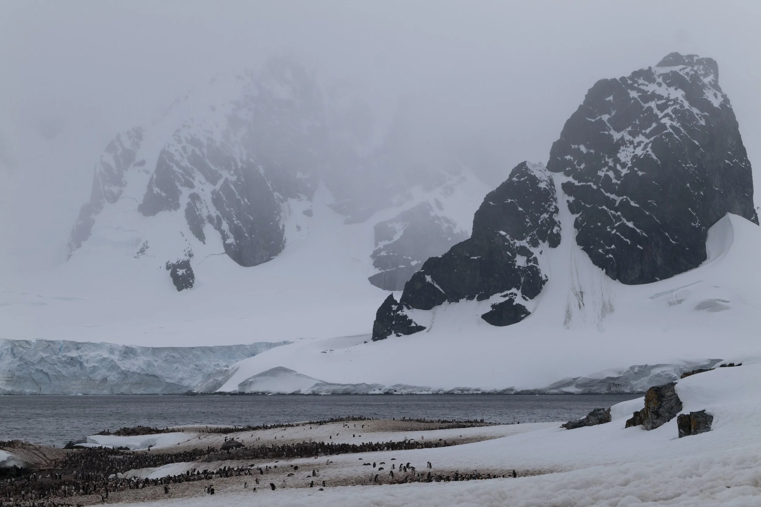 Joseph Seif - Antarctica -1050315.jpg