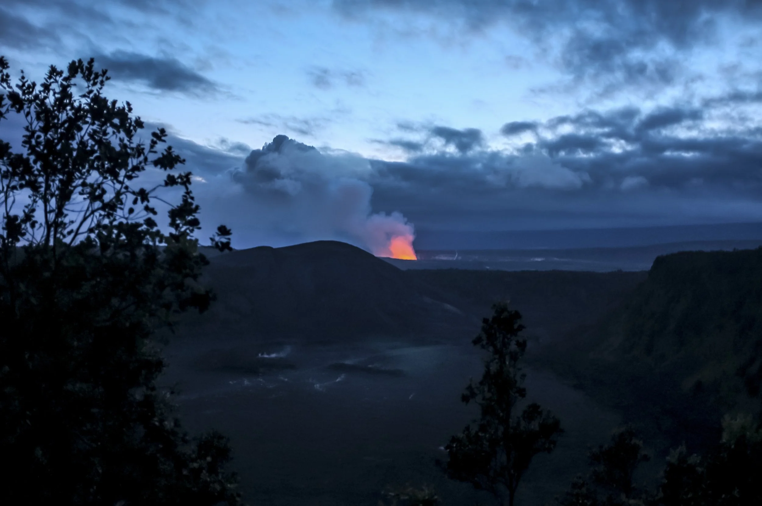 DSCF2517.jpg
