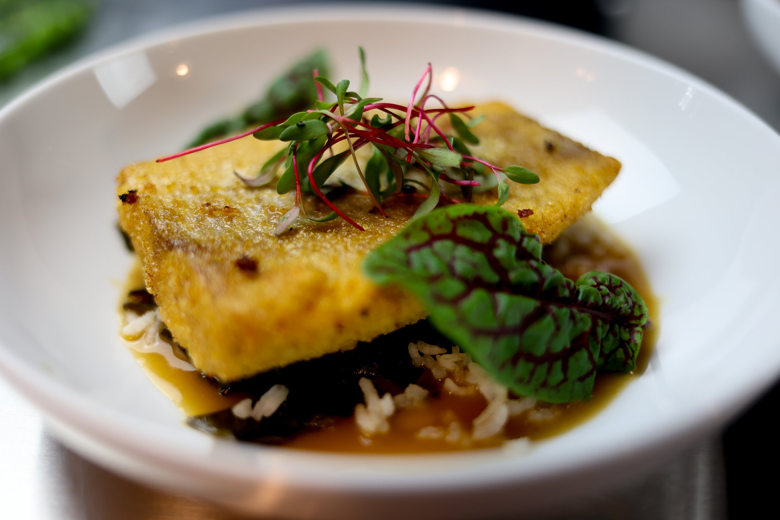 Great Lakes Trout With Green Gumbo + Carolina Gold Rice