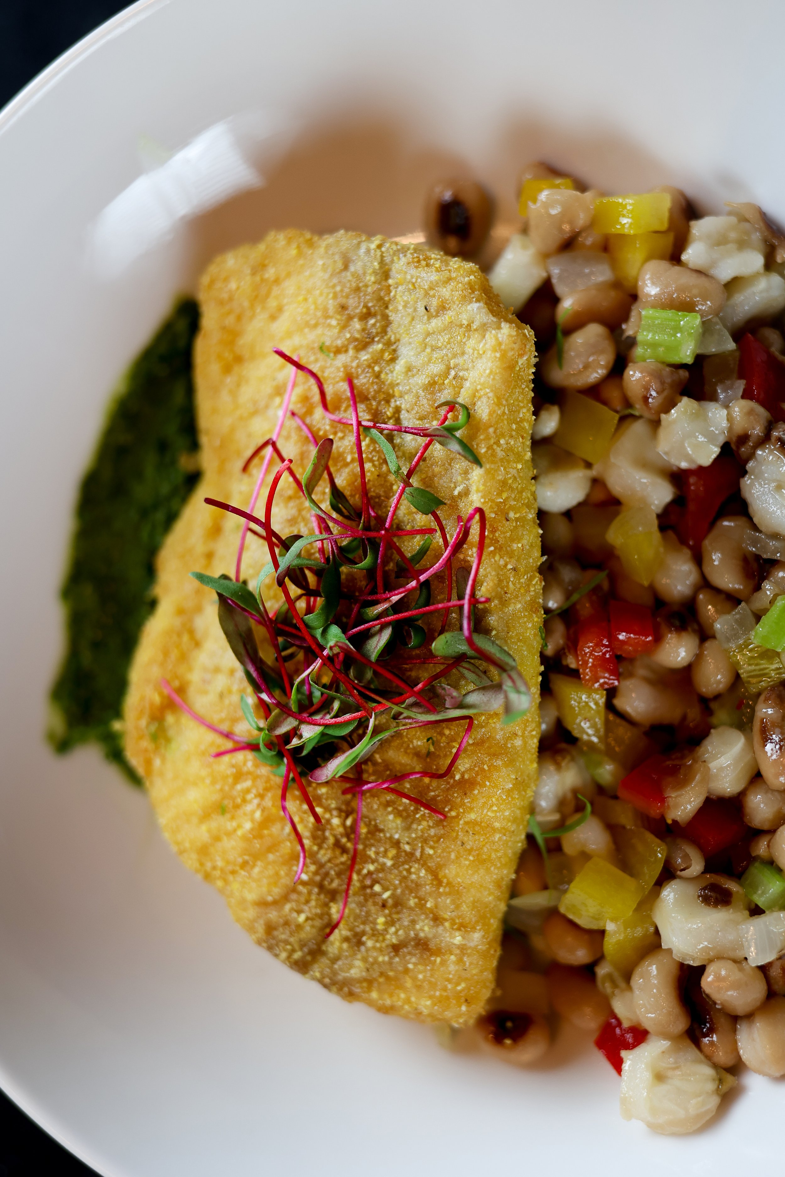 Cornmeal crusted Great Lakes Trout with hominy succotash and herb puree