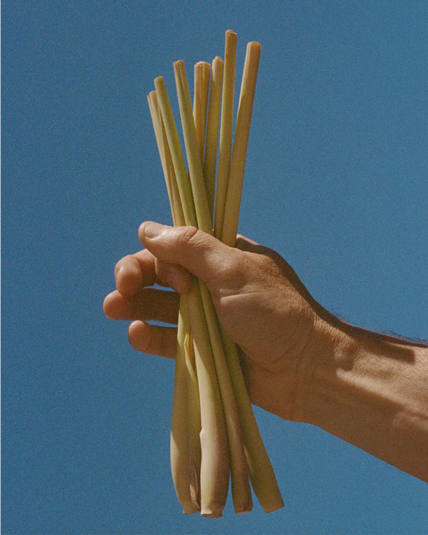 la bruket - swedish wellbeing-5.jpg