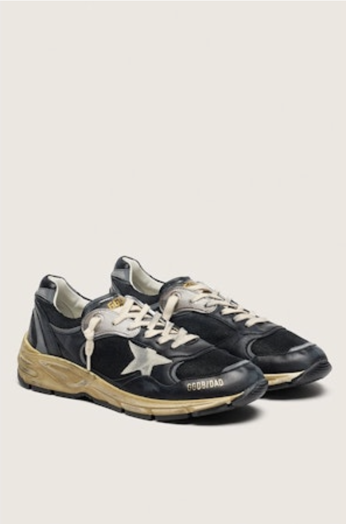 golden goose running dad.png