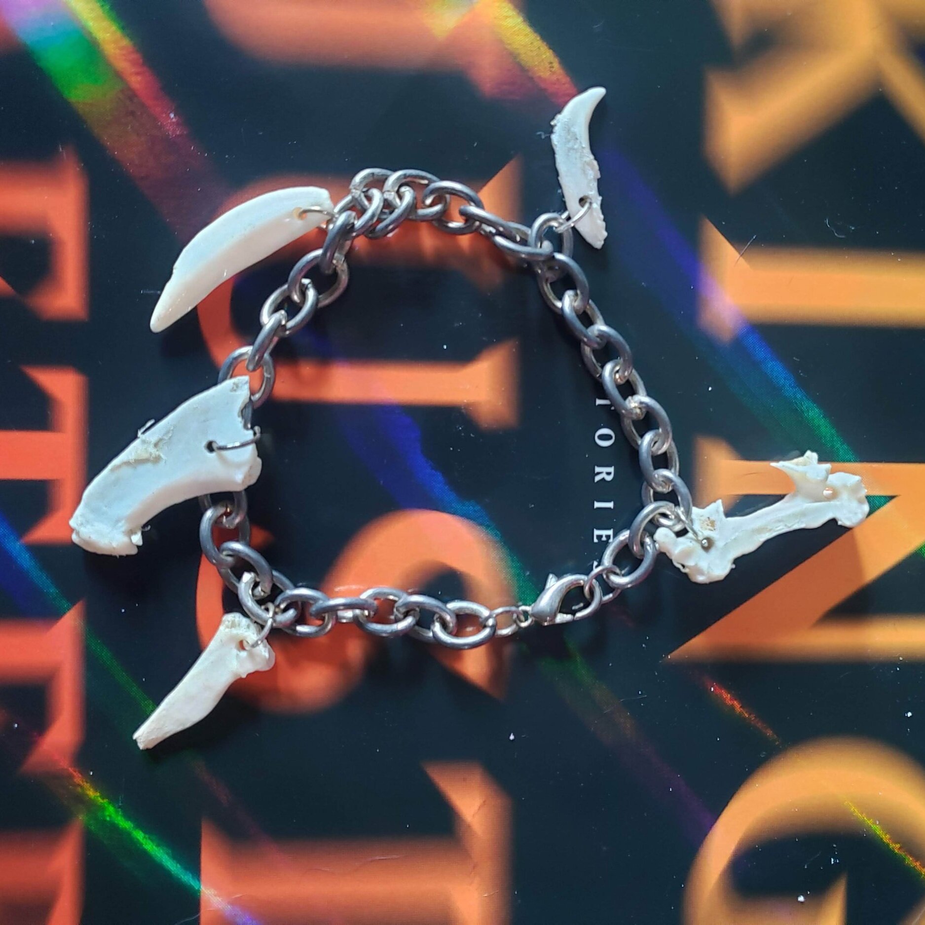 Bone Charm Bracelet
