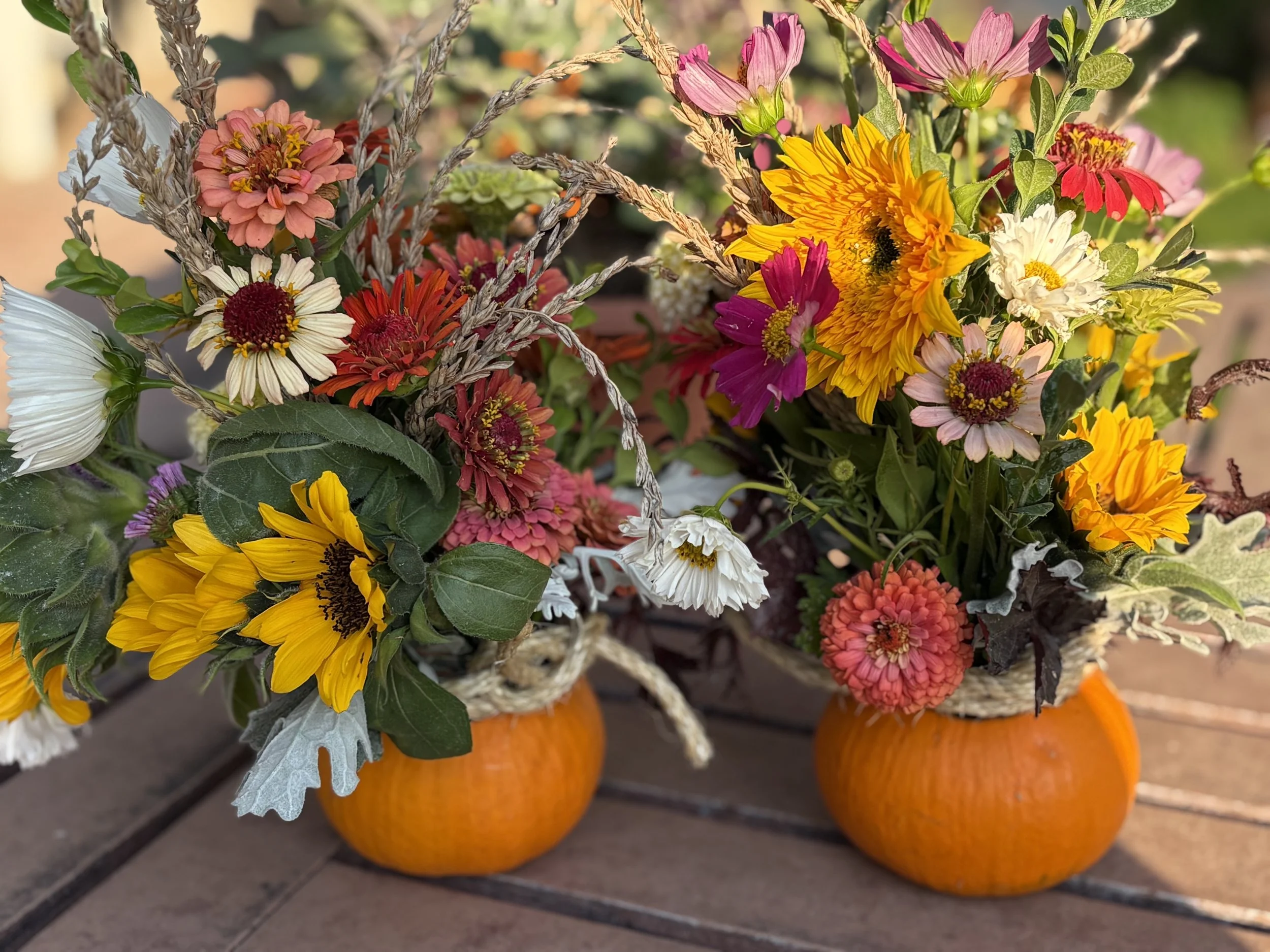 Fall Glory Subscription