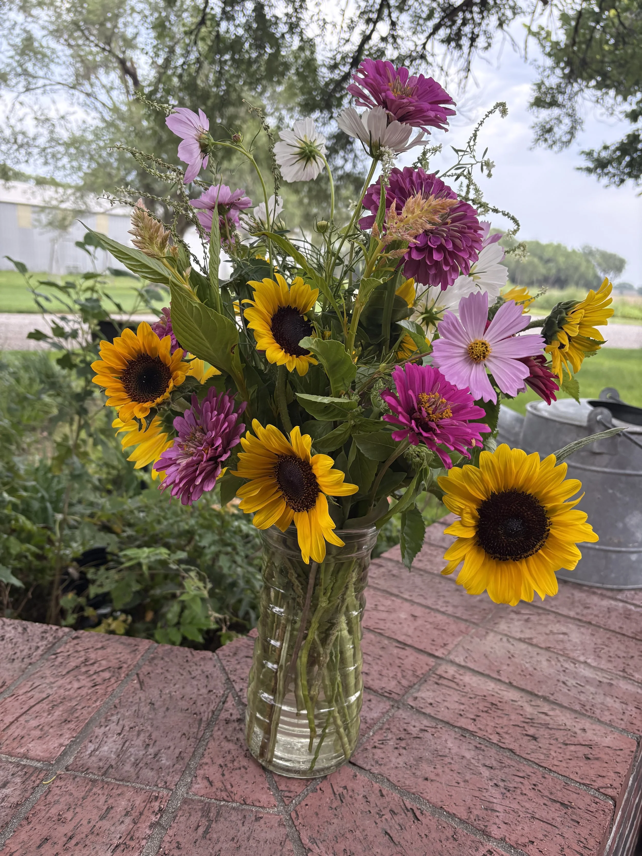 Summer Sun-Kissed Subscription