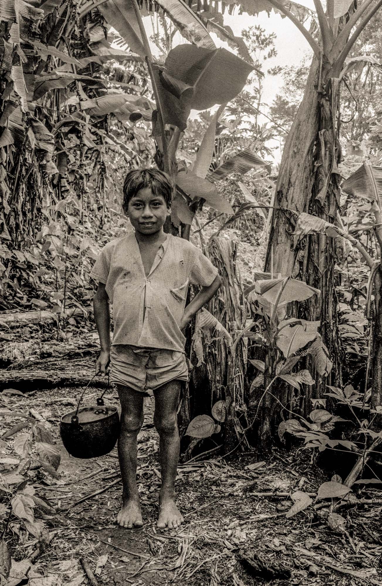 Boy in the Rainforest