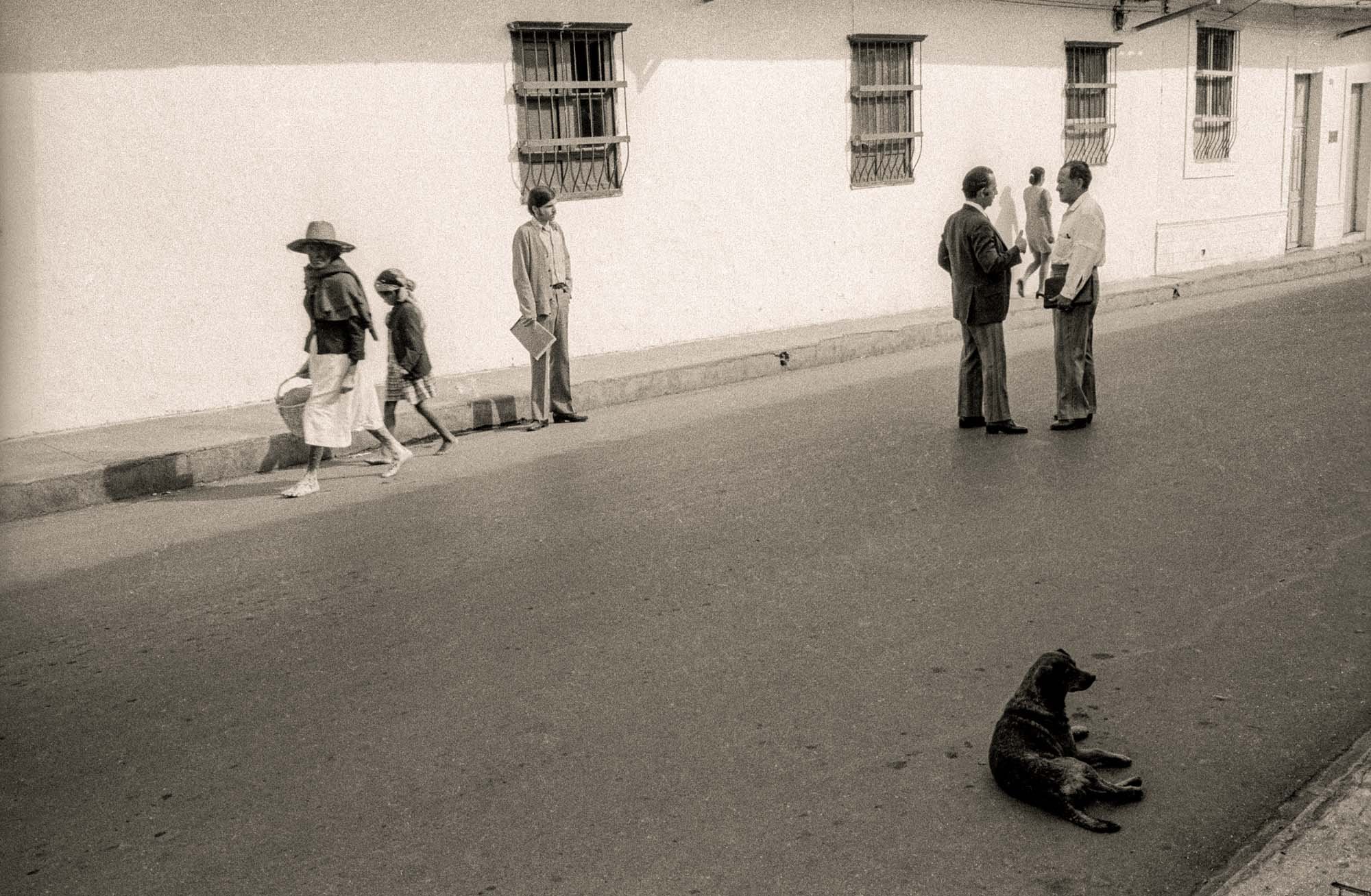 Sun, Shade, People, Dog