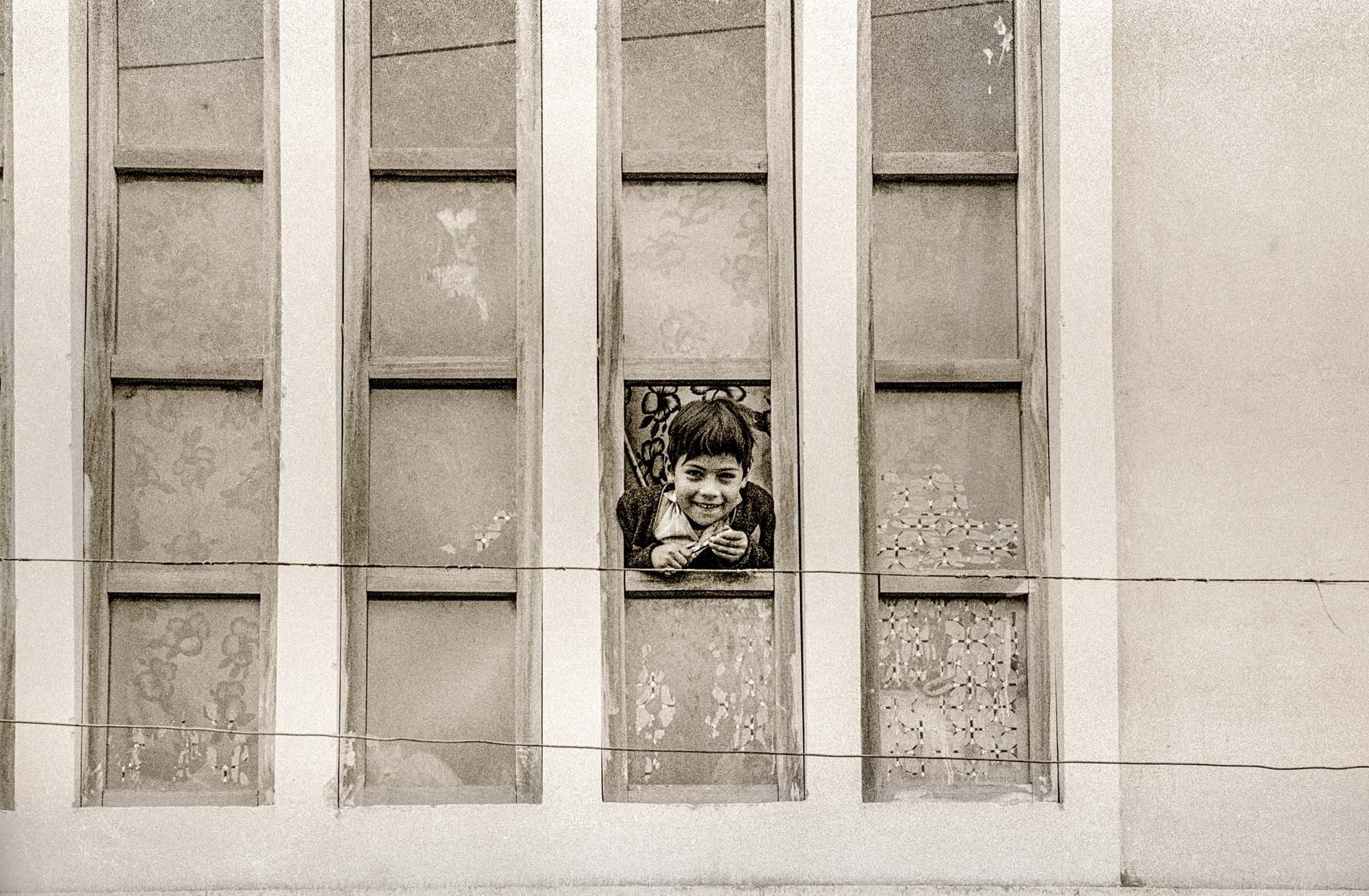 Boy in Windows