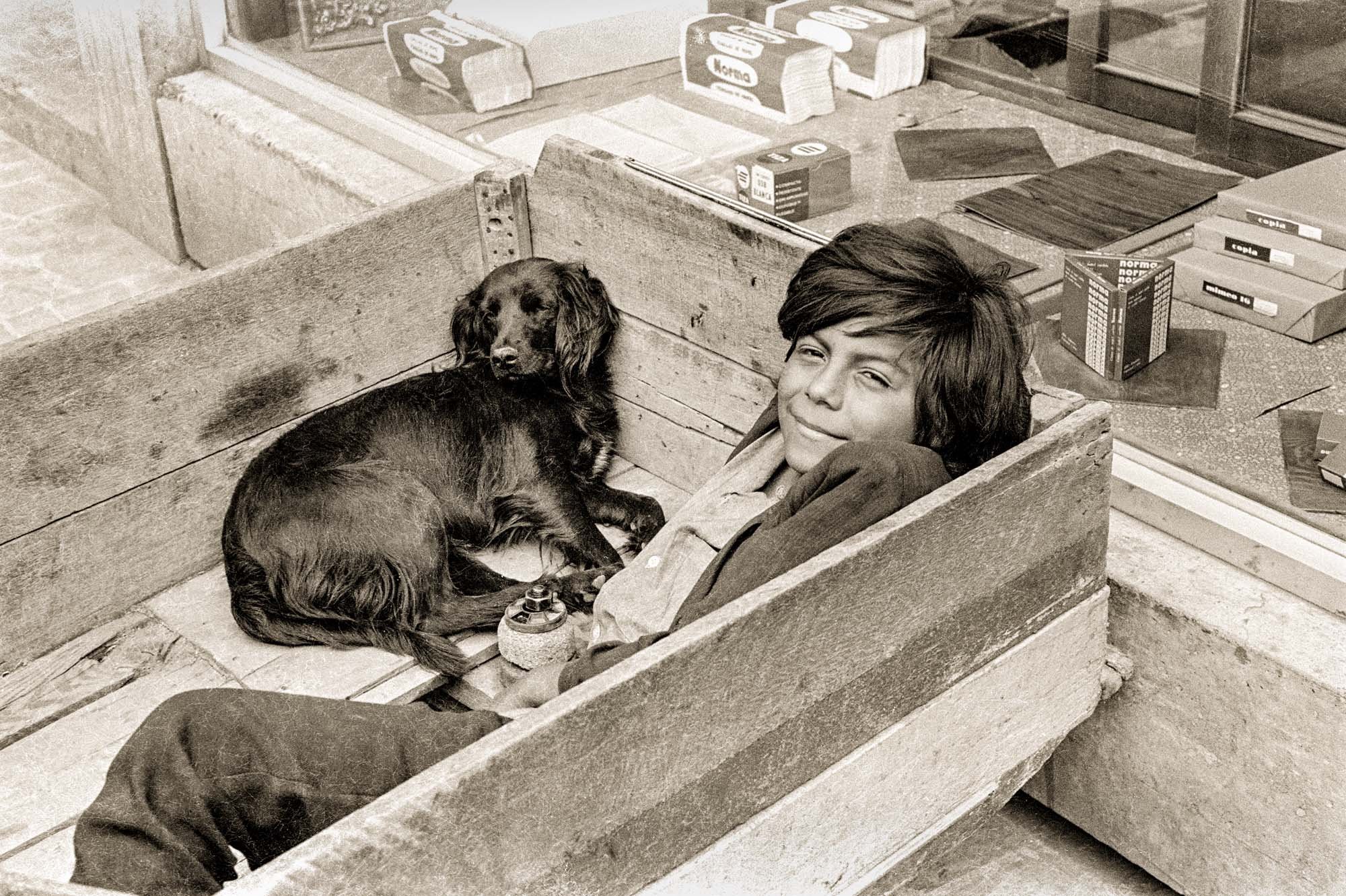 Boy, Dog, Box