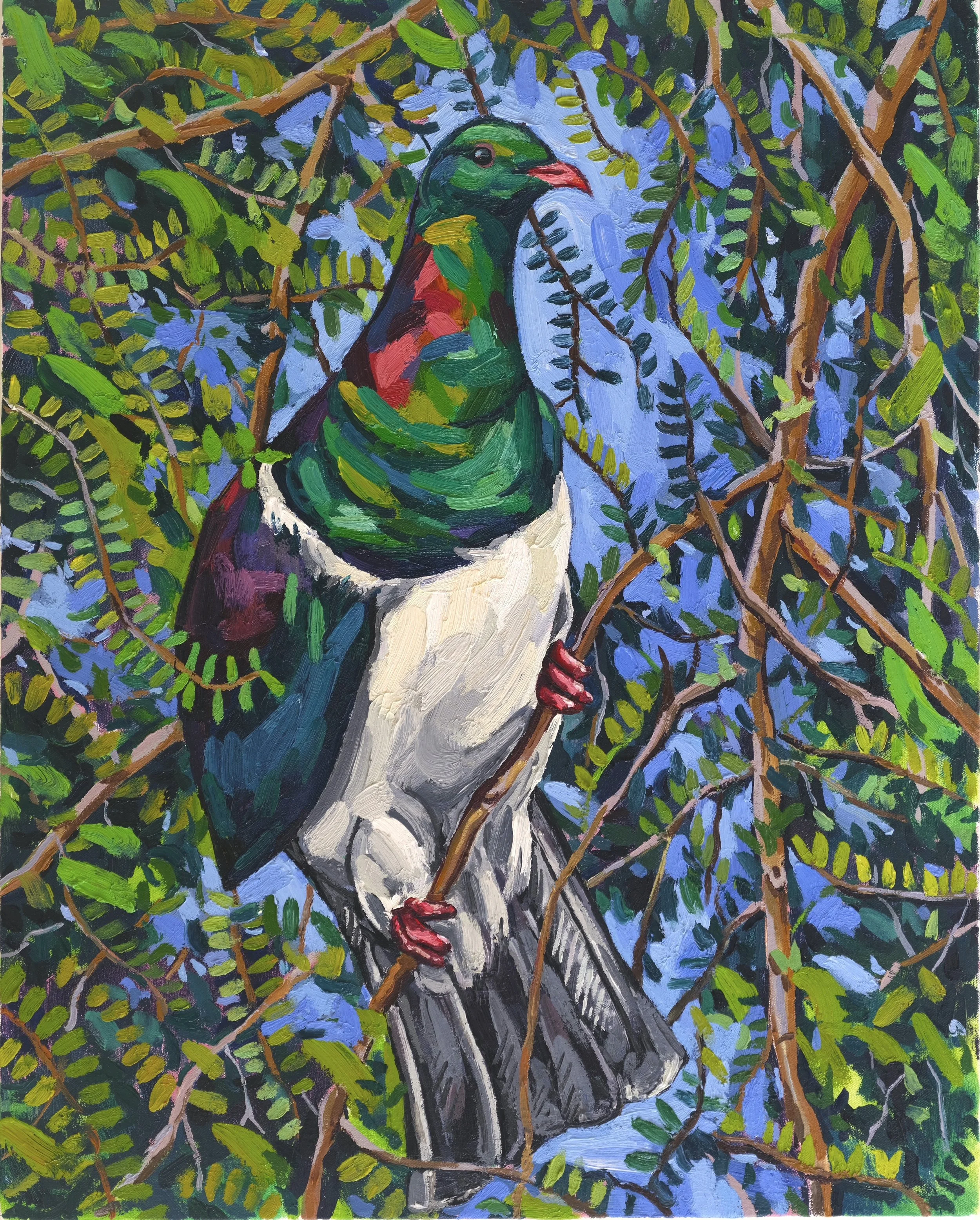 Kererū / New Zealand Wood Pigeon, 2022, oil on canvas on board, 50.5 x 40 cm, £2800