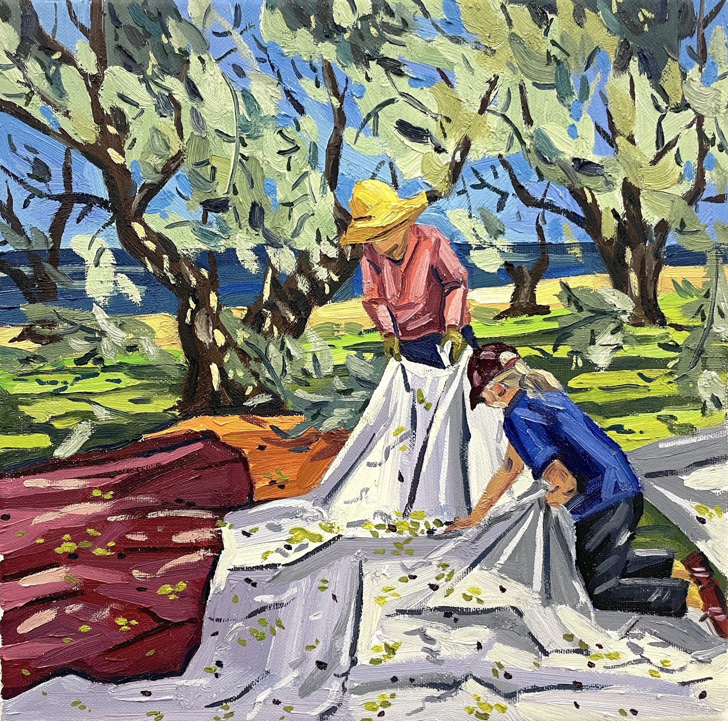 Olive Harvest II._01JPG.JPG