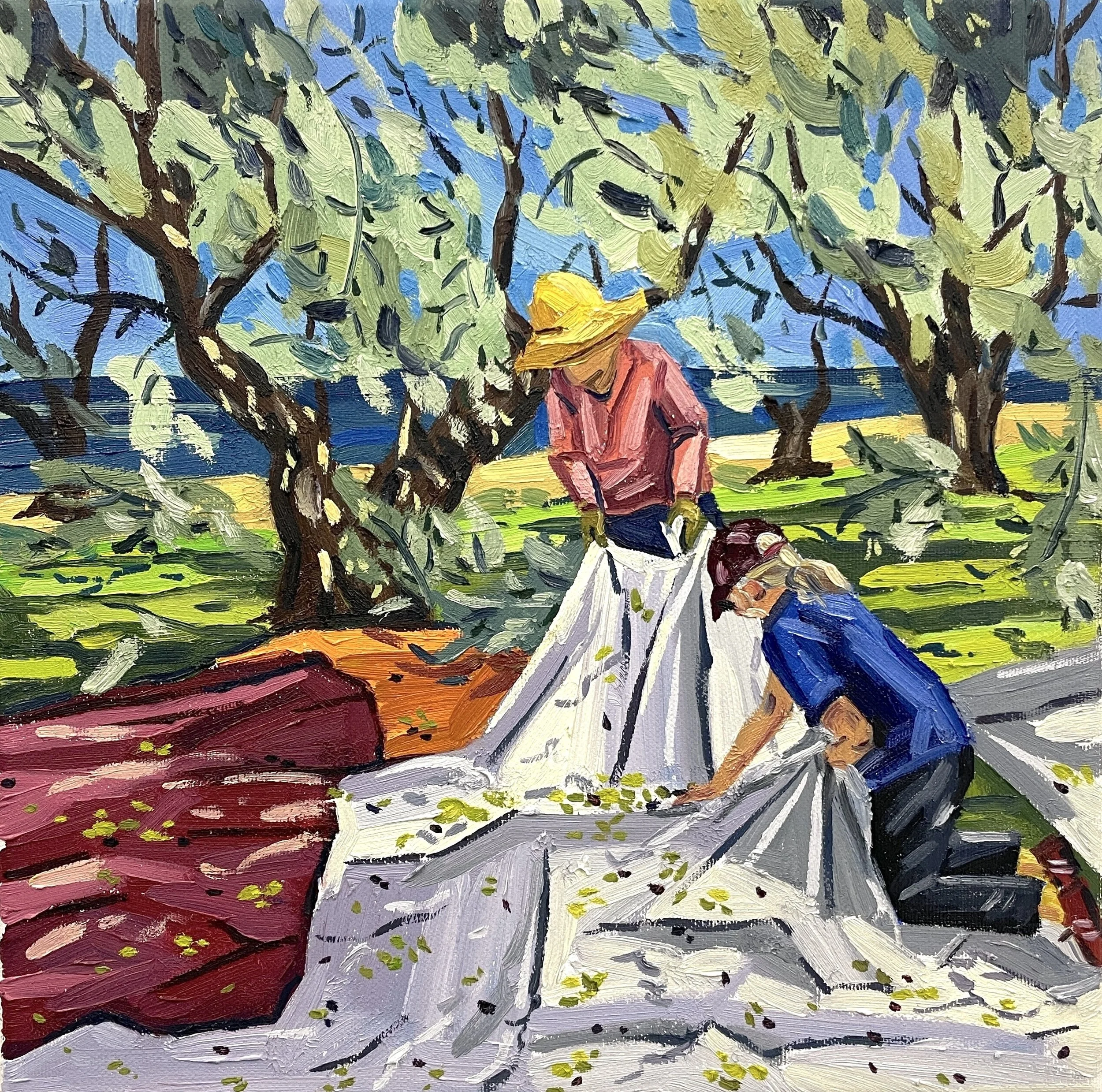 Olive Harvest II.JPG