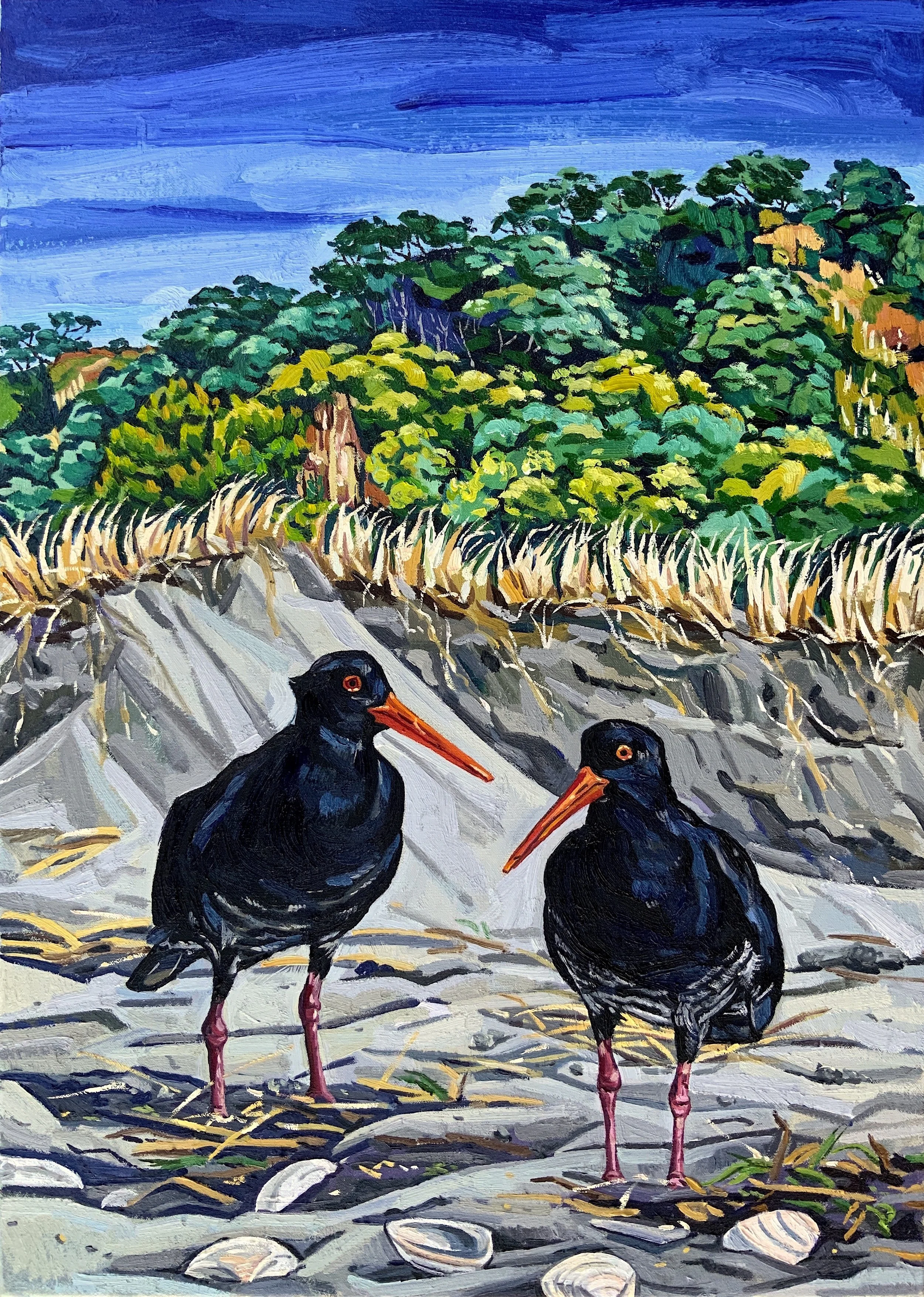 Tōrea / Oyster Catchers at Waiotahe Beach, 2022, oil on linen, 70 x 50 cm, £4500