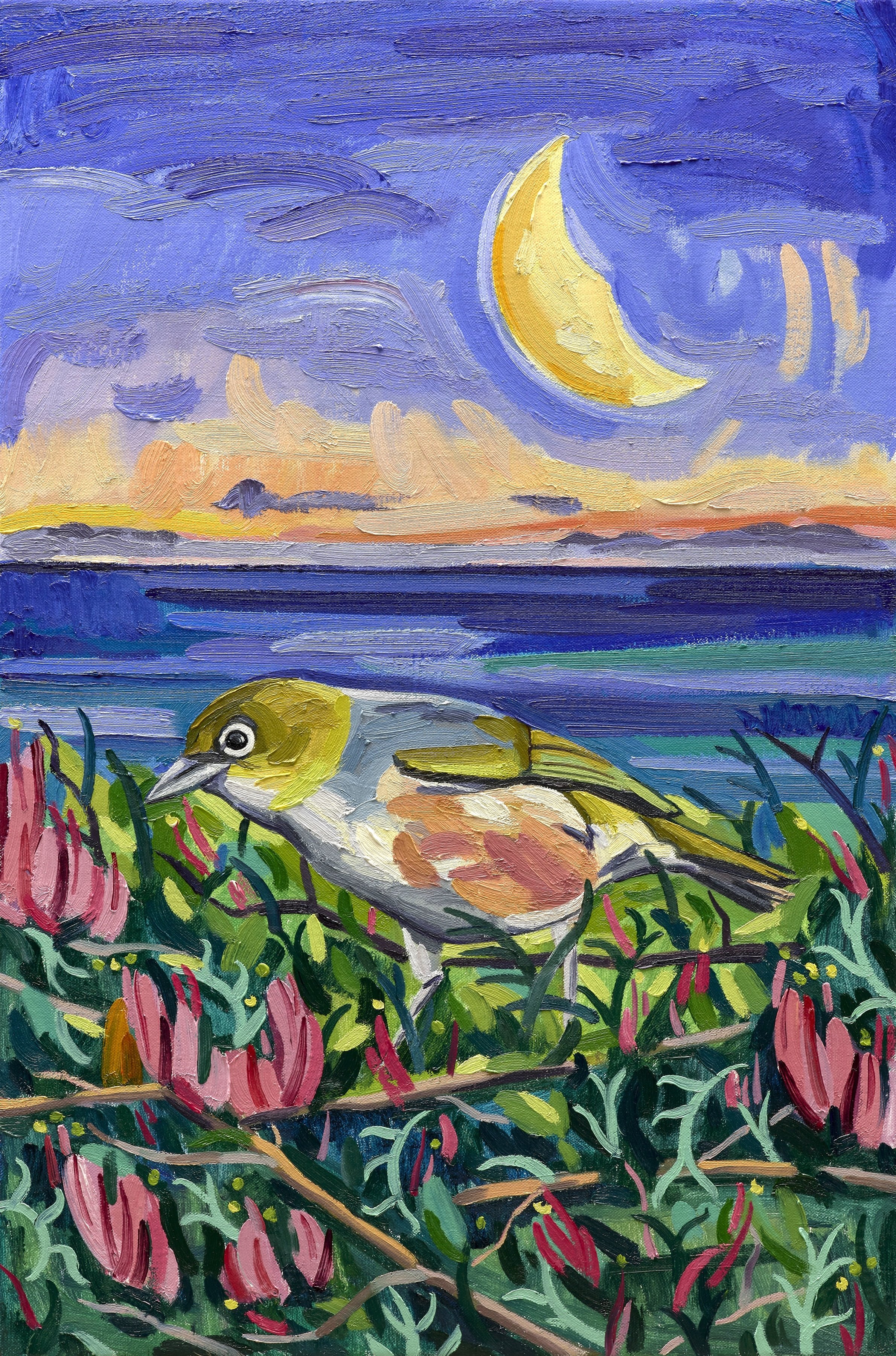 Tauhou / Wax Eye At Dusk, 2025, oil on linen, 60 x 40 cm, £3000