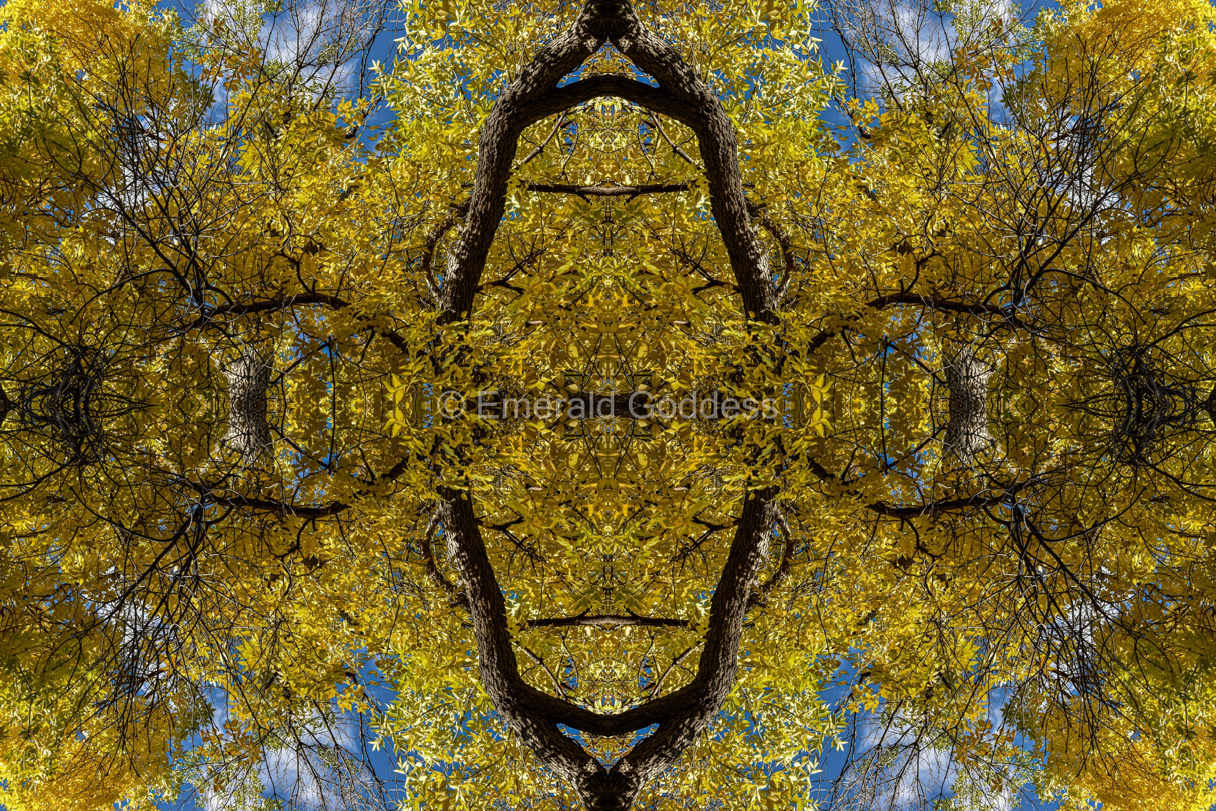JoLiSharp-2023FallColors-10.jpg