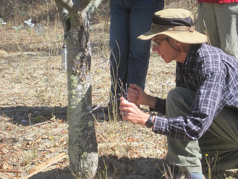 Matters Hm Gard-DVD image-Dv Fr Door.JPG