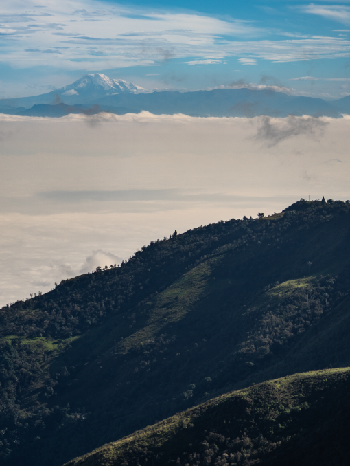 Screenshot 2026-02-19 at 2.04.46 PM.png