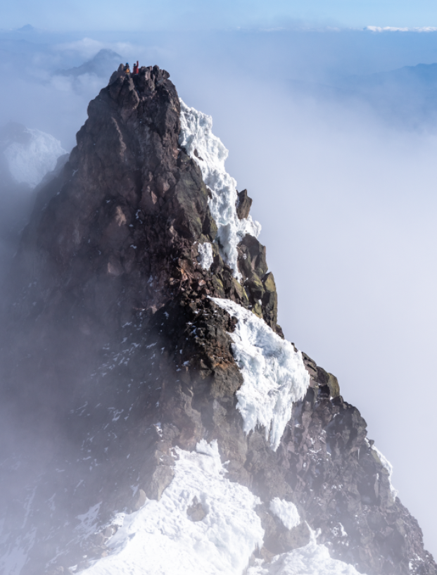 Screenshot 2026-02-19 at 2.03.02 PM.png