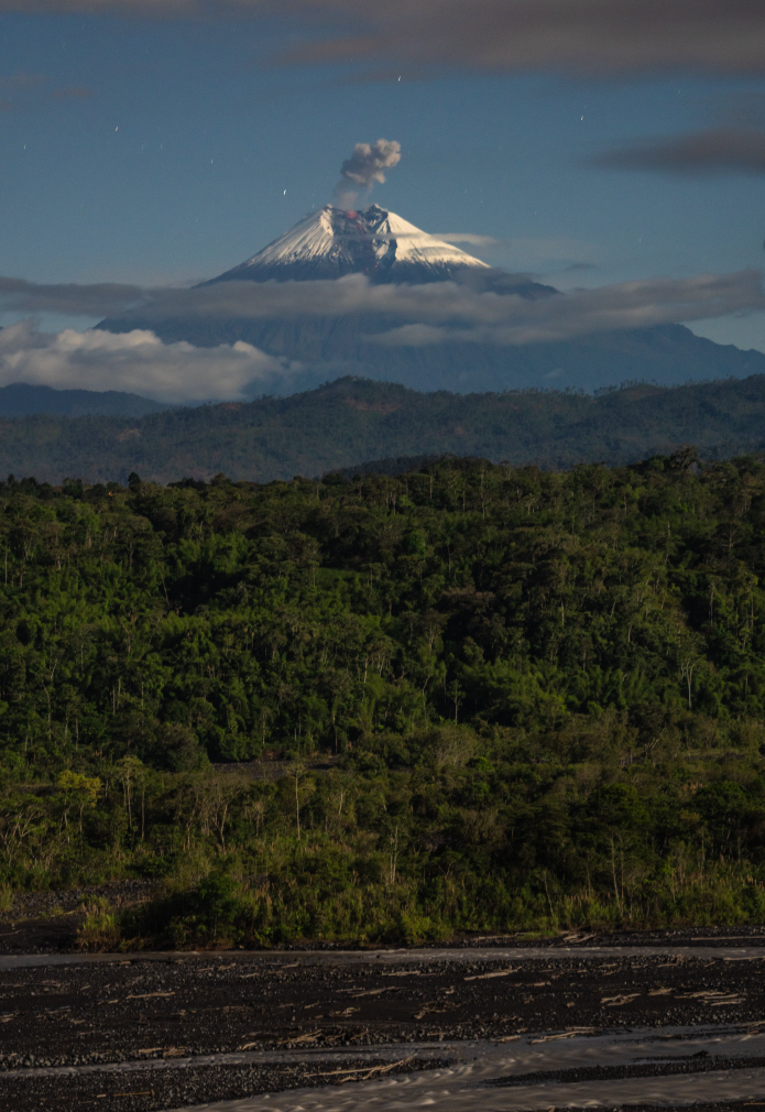 Screenshot 2026-02-19 at 2.06.40 PM.png