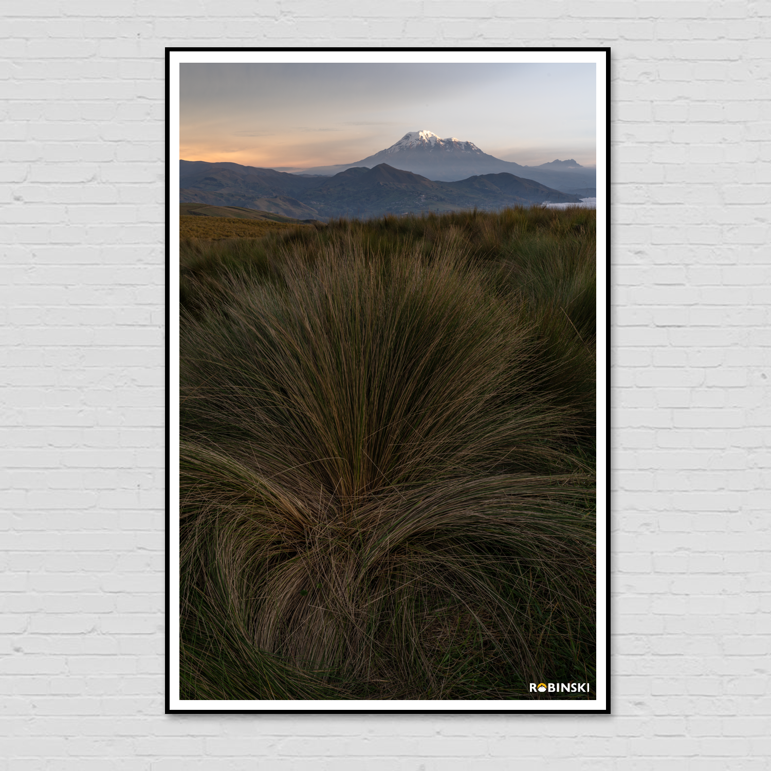 Print Pajonales del Chimborazo 60x100cm