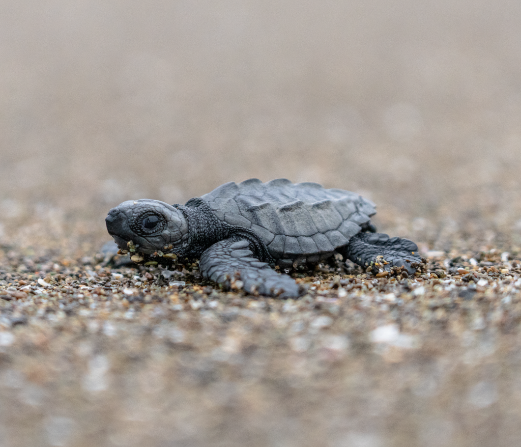 Screenshot 2026-02-19 at 2.11.05 PM.png