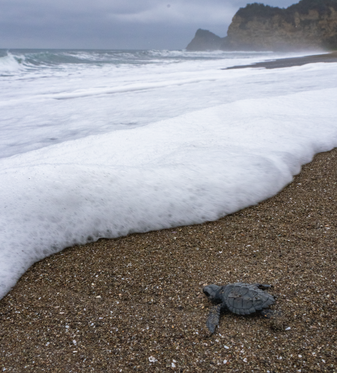 Screenshot 2026-02-19 at 2.08.38 PM.png