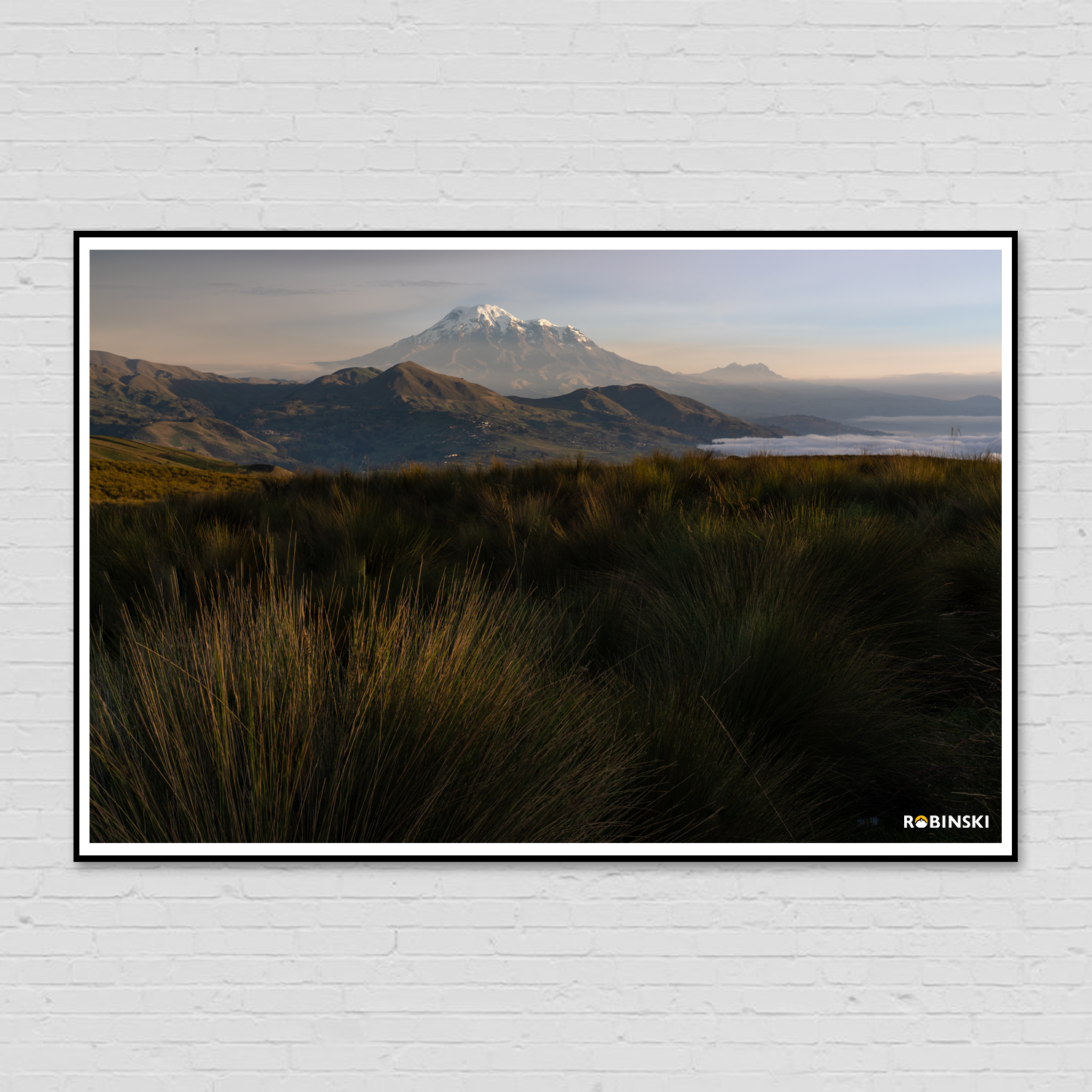 plantilla_prints2.png