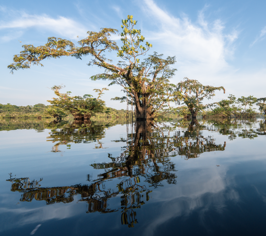 Screenshot 2026-02-19 at 1.57.12 PM.png