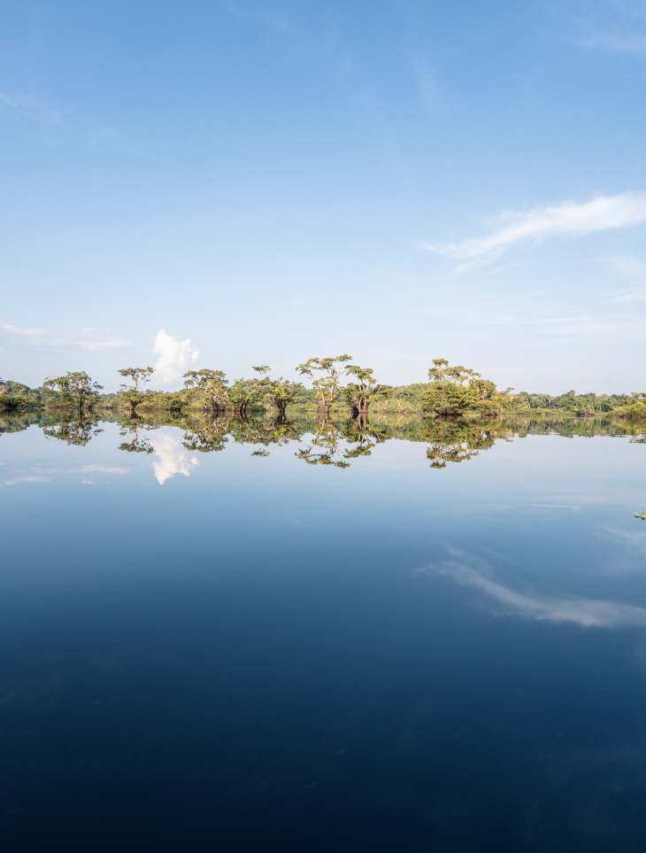 Screenshot 2026-02-19 at 1.53.25 PM.png