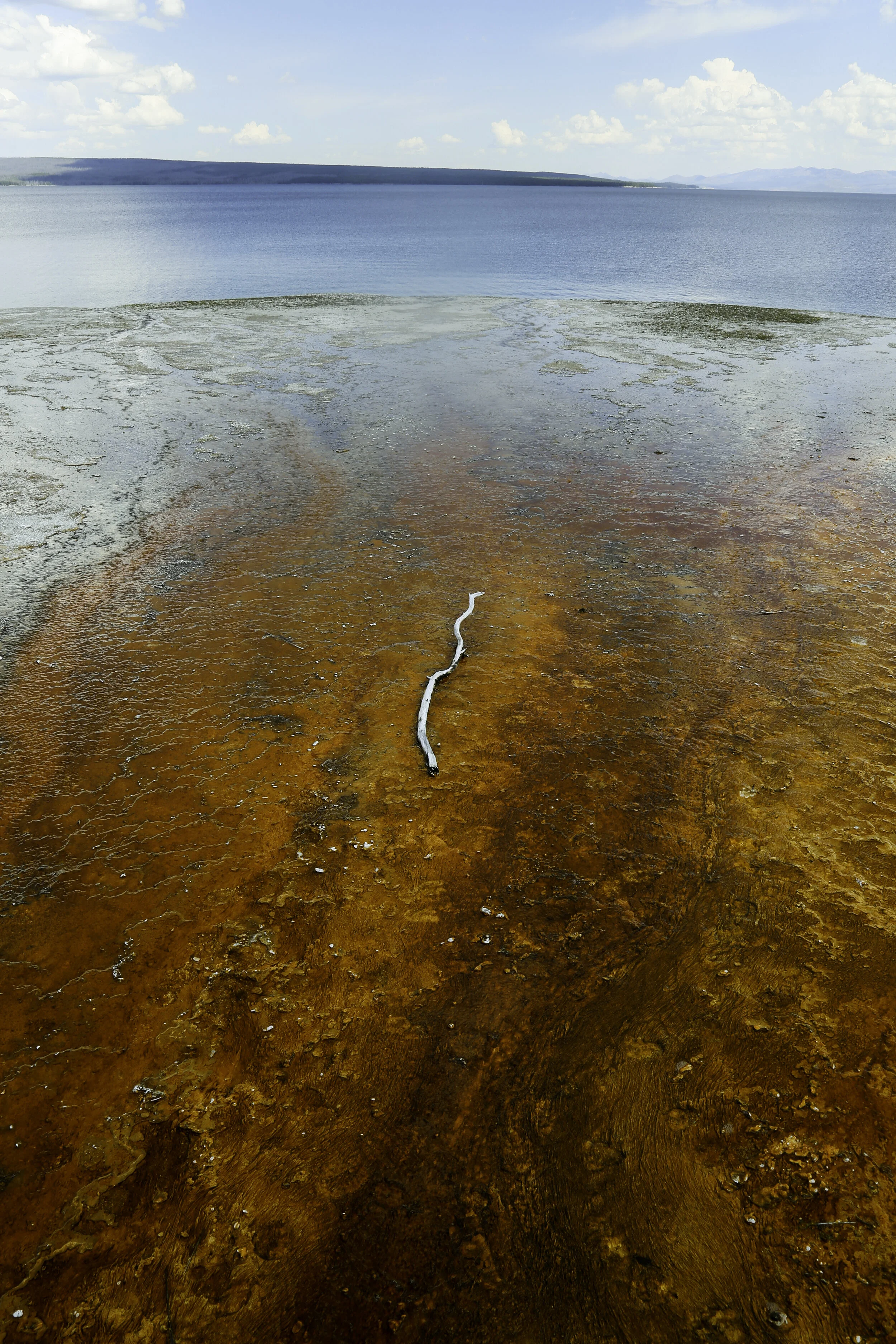 yellowstone (11 of 12).jpg
