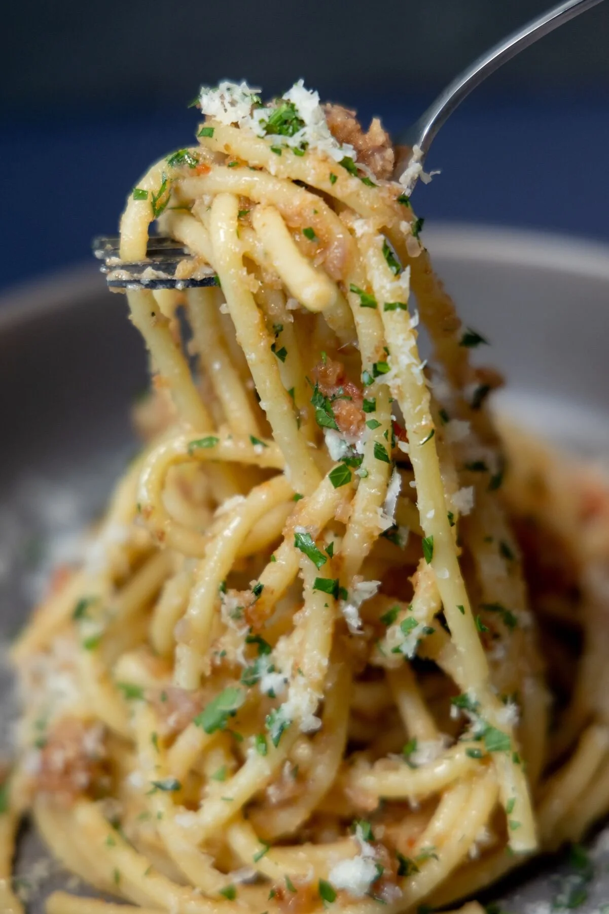 Web_Quality_Large-Pasta Mollicata (2).JPG