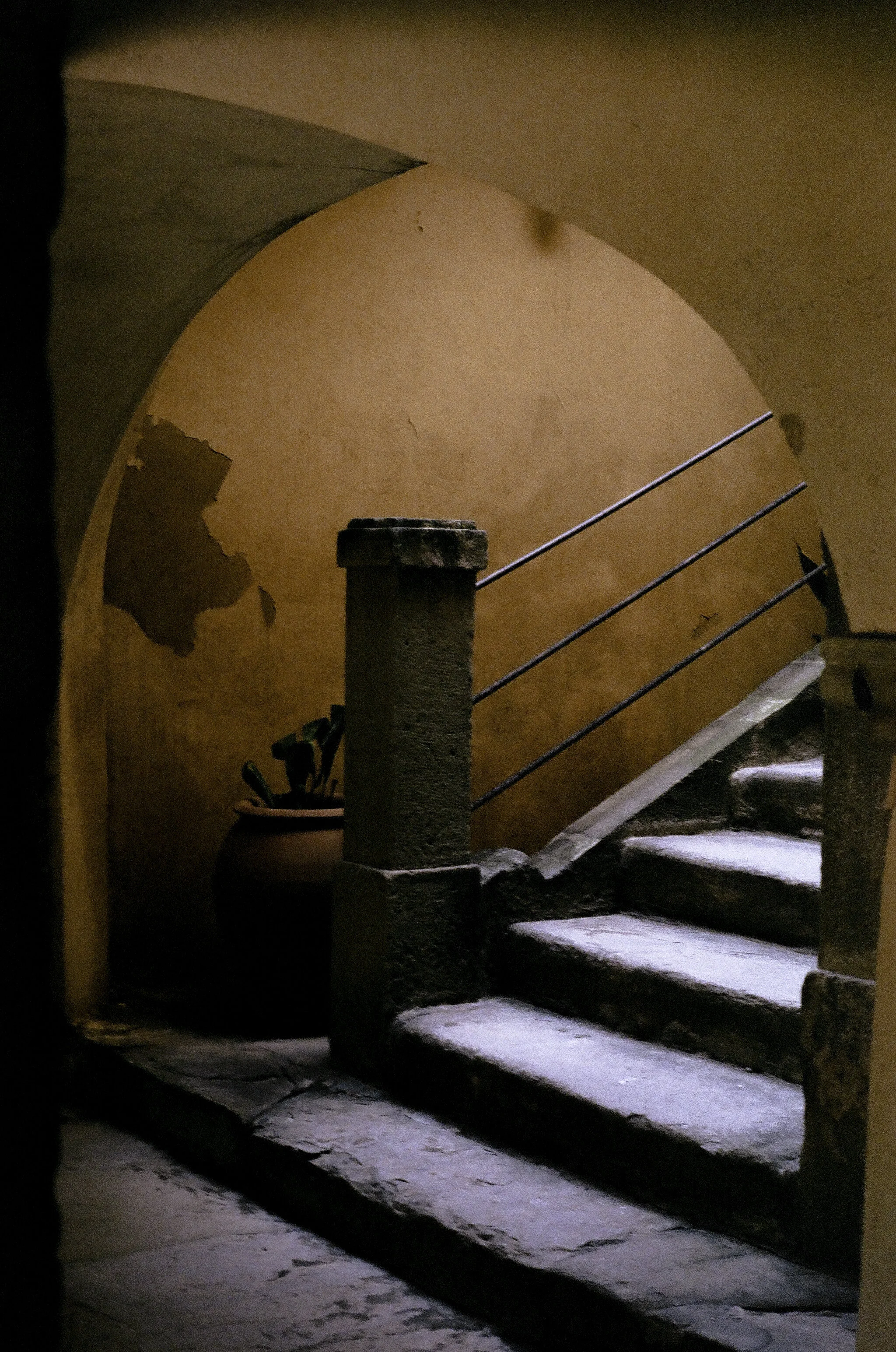 Christmas3 (1 of 1).jpg